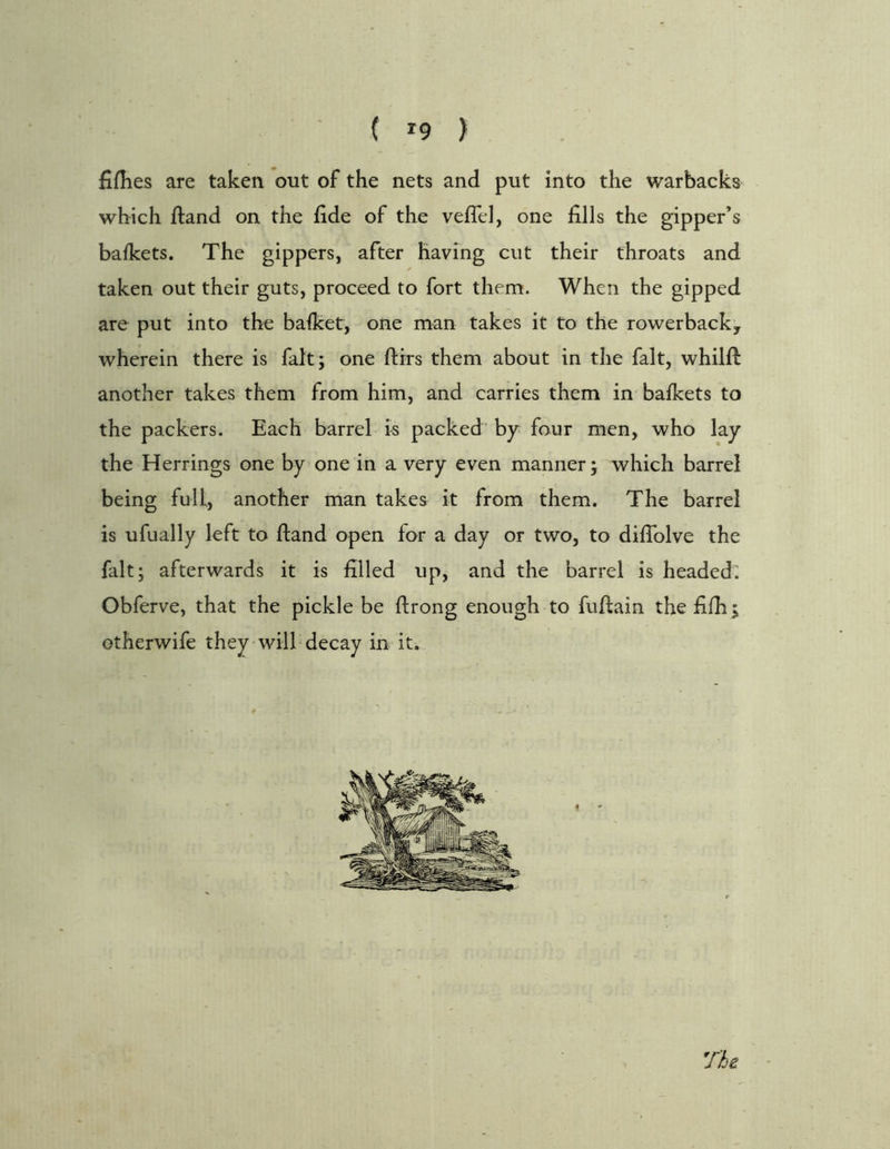 ( *9 ) fiflies are taken out of the nets and put into the warbacks which fland on the fide of the veffel, one fills the gipper’s bafkets. The gippers, after having cut their throats and taken out their guts, proceed to fort them. When the gipped are put into the bafket, one man takes it to the rowerbacky wherein there is fait; one ftirs them about in the fait, whilfb another takes them from him, and carries them in bafkets to the packers. Each barrel is packed by four men, who lay the Herrings one by one in a very even manner; which barrel being full, another man takes it from them. The barrel is ufually left to fland open for a day or two, to diffolve the fait; afterwards it is filled up, and the barrel is headed^ Obferve, that the pickle be flrong enough to fuflain thefifh; otherwife they will decay in it.