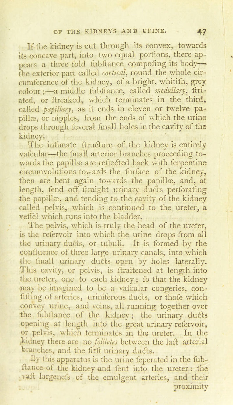 If the kidney is cut through its convex, towards its concave part, into two equal portions, there ap- pears a three-fold fubftance compoling its body— the exterior part called cortical, round the whole cir- cumference of tlie kidney, of a bright, whitifh, grey colour;—a middle fubftance, called medullary, llri- ated, or ftreaked, which terminates in the third, called papillary, as it ends in eleven or twelve pa- pillae, or nipples, from the ends of which the urine drops through feveral fmall holes in the cavity of tlic kidney. The intimate ftruclure of the kidney is entirely vafcular—the fmall arterior branches proceeding to- wards the papillae are reflected back with ferpentine circumvolutions towards the farface of the kidney, then are bent again towards the papillae, and, at length, fend off Itraight urinary dudls perforating the papillas, and tending to the cavity of the kidney called pelvis, which is continued to the ureter, a veficl which runs into the bladder. The pelvis, which is truly the head of the ureter, is the refervoir into which the urine drops from all the urinary dudls, or tubuli. It is formed by the confluence of three large urinary canals, into which the fmall urinary diidls open by holes laterally. This cavity, or pelvis, is llraitened at length into the ureter, one to each kidney; fo tliat the kidney may be imagined to be a vafcular congeries, con- flfting of arteries, uriniferous du6ls, or thofe which convey urine, and veins, all running together over the fubllance of the kidney; the urinary dudts opening at length into the great urinary refervoir, or pelvis, which terminates in the ureter. In the kidney there are no follicles between the laft aitcrial branches, and the firfl urinary du6ls. by this apparatus is tlu; urine feperated In the fub- flance ot the kidney and fent into tlie ureter: tlie vail largenefs of the cmnlgcnt arteries, and their proximity