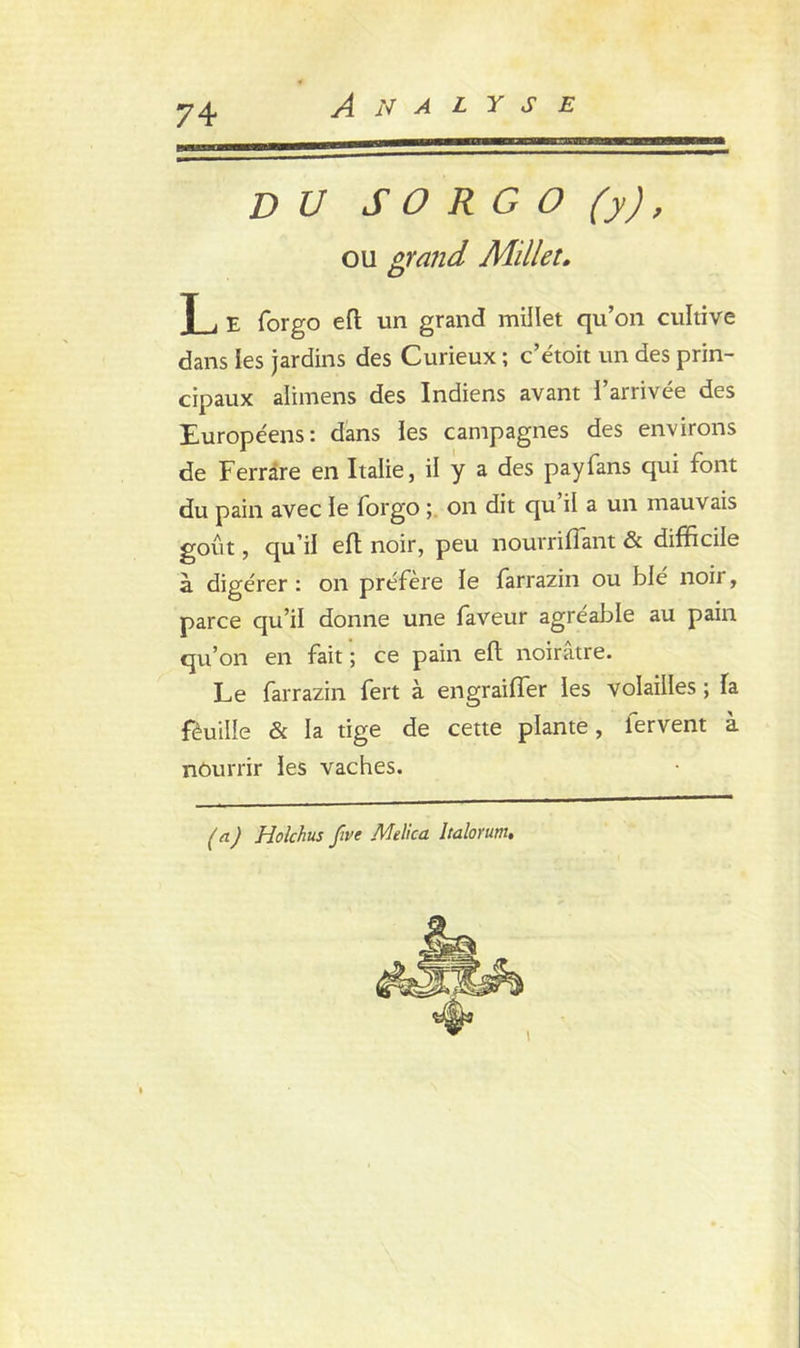 Analyse DU S O R G O (y), ou grand Millet. T i e forgo eft un grand millet qu’on cultive dans les jardins des Curieux ; c’étoit un des prin- cipaux alimens des Indiens avant l’arrivée des Européens: dans les campagnes des environs de Ferrare en Italie, il y a des payfans qui font du pain avec le forgo on dit qu il a un mauvais goût, qu’il eft noir, peu nourrifîant & difficile à digérer : on préfère ïe farrazin ou blé noir, parce qu’il donne une faveur agréable au pain qu’on en fait ; ce pain eft noirâtre. Le farrazin fert à engraiffer les volailles ; fa fèuille & la tige de cette plante, fervent à nourrir les vaches. (a.) Holchus five Melica Italorum.