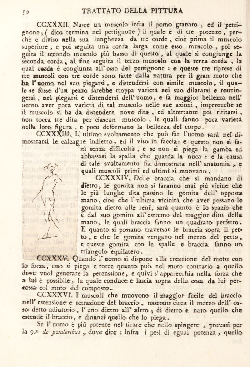 ?o GCXXXIL Nasce un muscolo Infra il pomo granato , ed il petti-* gnodico termina nel pettignone ) il quale è di tre potenze, per- chè è diviso nella s,ua lunghezza da. tre corde * cioè prima il muscolo superiore , e poi seguita una corda larga come esso muscolo , poi se- guita il secondo, muscolo più basso, di questo * ai quale si congiungc la seconda corda. h al fine seguita il terzo» musetta eoa la, terza corda , la qual cofd’a è, congiunta all’ osso, del pettignone : e queste tre riprese di tre muscoli, con tre corde sono, fatte dalla natura per il gran moto che ha Vuomo nel sua piegarsi 5 e distendersi con simile, muscolo, il qua- le se fjosse: d’ua pezzo farebbe troppa varietà nel sua dilatarsi e resti in- getti,, nel piegarsi e distendersi deli’uomo, c fa maggior bellezza nell’ uomo, aver poca varietà di tal muscolo nelle sue azioni , imperocché se il: muscolo si ha da distendere nove dita ,, ed altrettante poi rimarsi 9 non tocca tre dita, per ciascun muscolo , le quali fanno poca varietà nella loro» figura e poco deformano la bellezza del corpo. CCXXXWL L’; ultimo sveltamente che può far l’uomo; sarà nel dì- mostrarsi le calcagne indietro, ed il viso, in faccia: e questo non si fa- rà senza difficoltà , e se non si piega la gamba ed abbassasi la spalla che guarda la nuca .* c la causa , / ^ di tale svoltamento- lia dimostrata nell’ anatomia > e t /-jjf, /**)>■ ». quali muscoli primi ed ultimi si muovano e. CCXXXIV., Delie braccia che si mandano di dietro , le gomita non si faranno mai più vicine che le più lunghe dita passino le gomita, dell’ opposta mano , cioè che 1* ultima vicinità che aver, possano le gomita dietro alle reni, sarà quanto è lo spazio che è dal suo gomito all’ estremo del maggior dito della mano, le quali braccia fanno un quadrato? perfetto* , E quanto si possano traversar le braccia sopra il pct* to , e che le gomita vengano nel mezzo del: petto * e queste gomita con le spalle e braccia fanno un t triangolo equilatero .. GC3IXXSA Quando 1’ nomo si dispone alla creazione dèi moto con lai fòrza, esso si piega e torce quanto può; nel moto contrario a quello dove vuol generare la percussione,, e quivi s’ apparecchia nella fòrza che a lei è possibile la quale conduce e lascia sopra della cosa da lui per- cossa col moto del composta*. CCXXXVL. I muscoli che muovono il maggior fucile del braccia BelTestensione e retrazione del braccio?, nascono? circa il. mezzo? delT os- sa detto adiutorio , T una dietro all’ altro? ; dì dietro? è nata quello che estende il braccio ,, e dinanzi quello che lo piega •, Se ì’ uomo è più potente nel tirare che nello spingere * provasi’ per