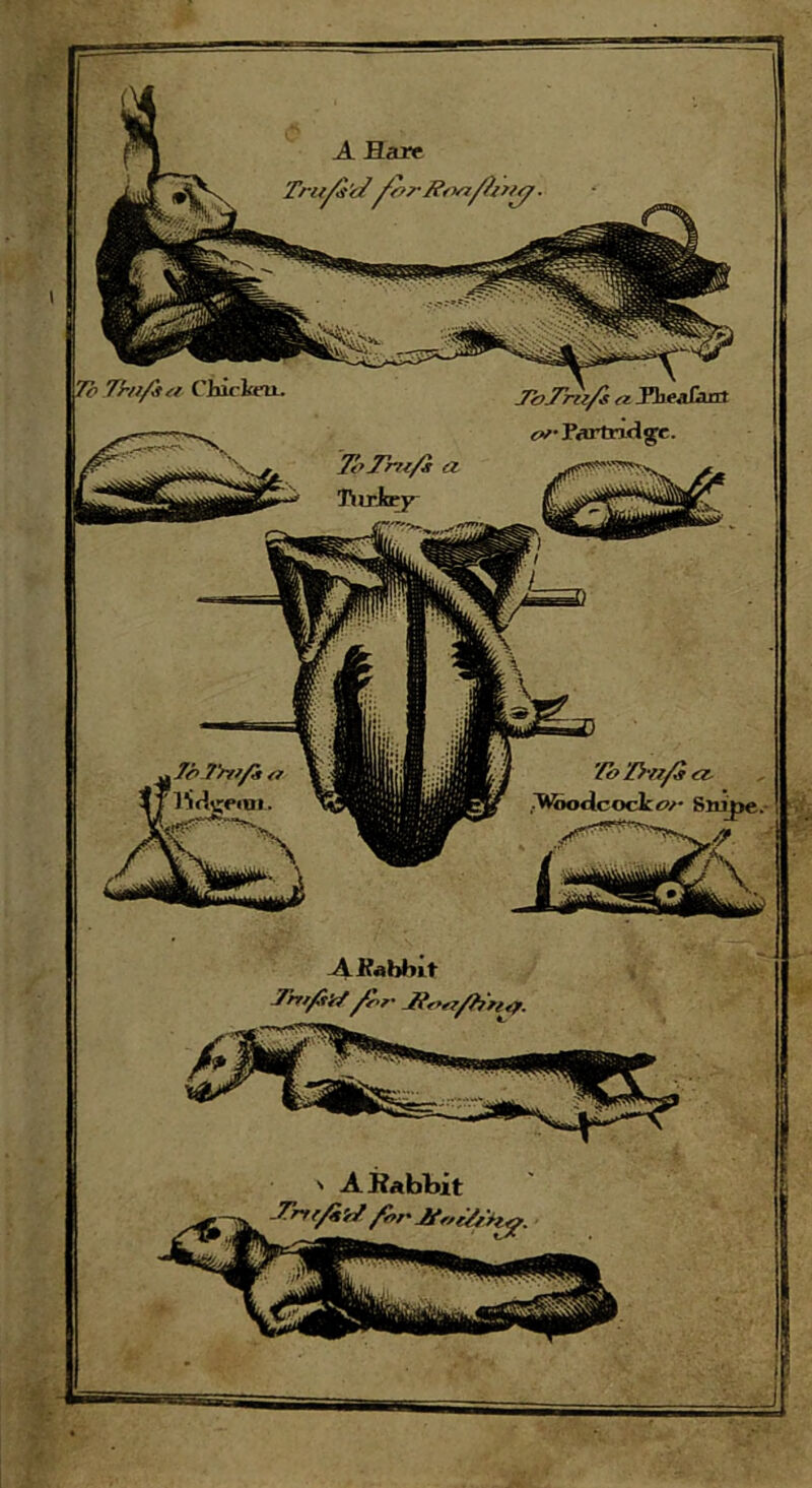 Triifi'd 7e7h>/jur Chicken. 'fbH-afi a- .iWodcocko/' Su .7b Tm/Z o lWgean.. AKabbit ThtfiifySr Jtera/hn^f. ' A Rabbit