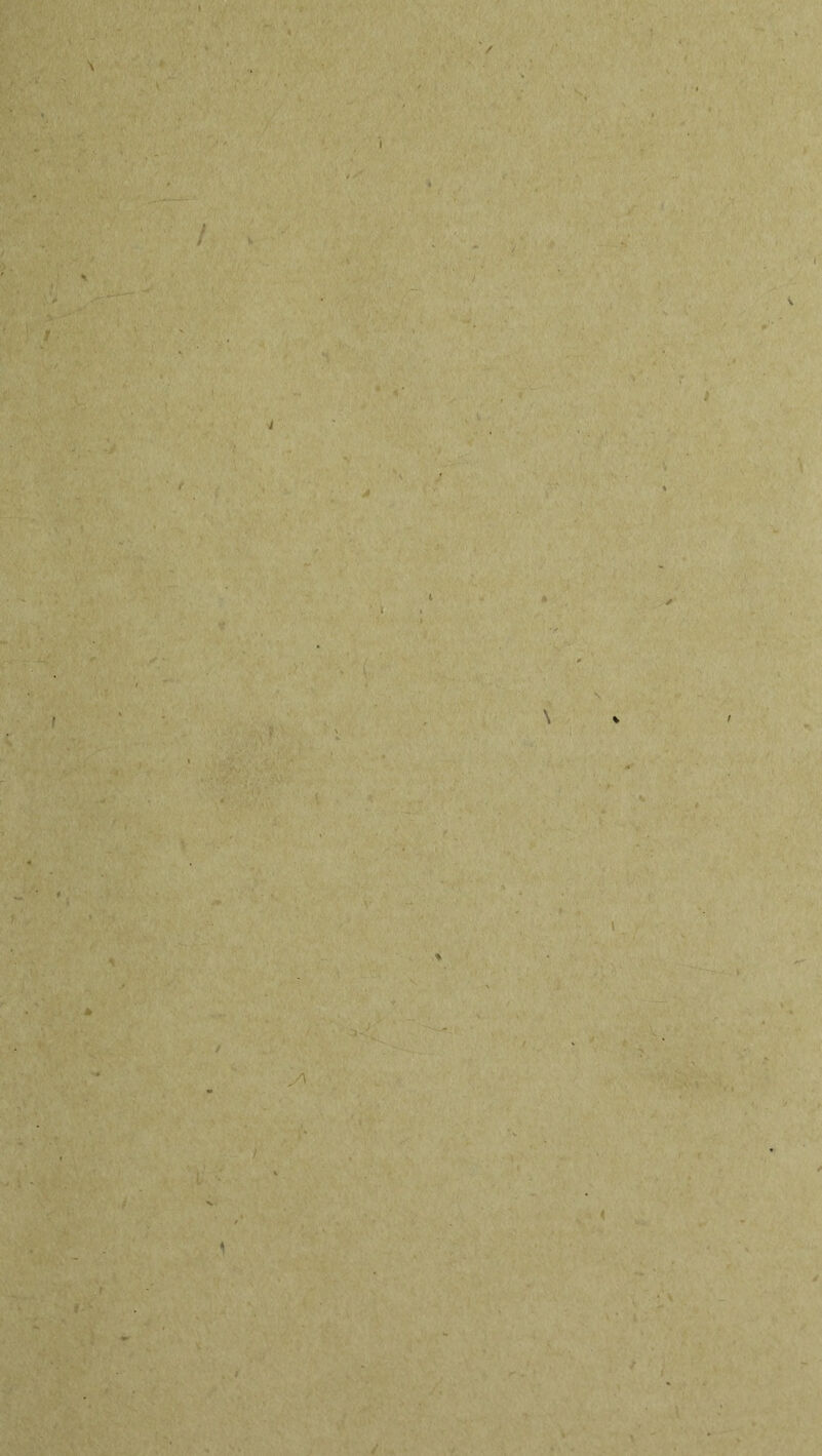 )■ ■ / V 1 I t ^7 :*i -. ■ ‘ V • 'S.: ;■ t., / t /