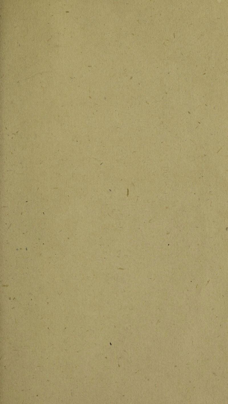 \ f 'S ■ '' ✓ ■ v; . ‘ r \ i f- f