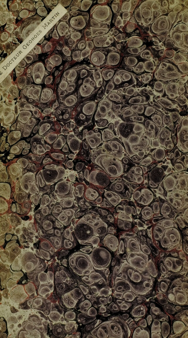 digitised image 2