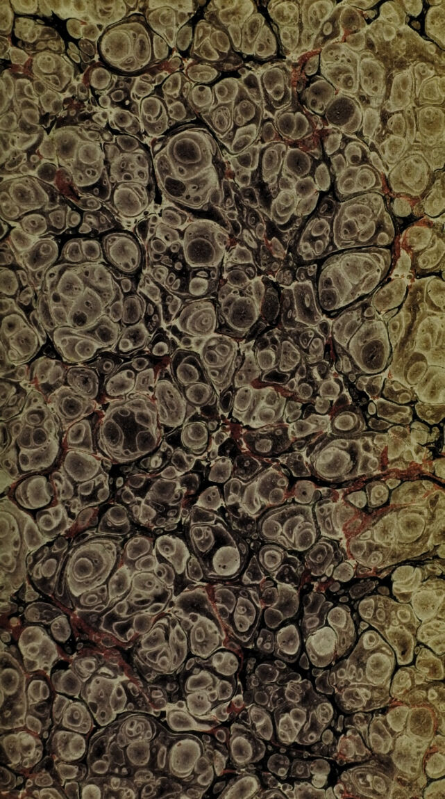 digitised image 3