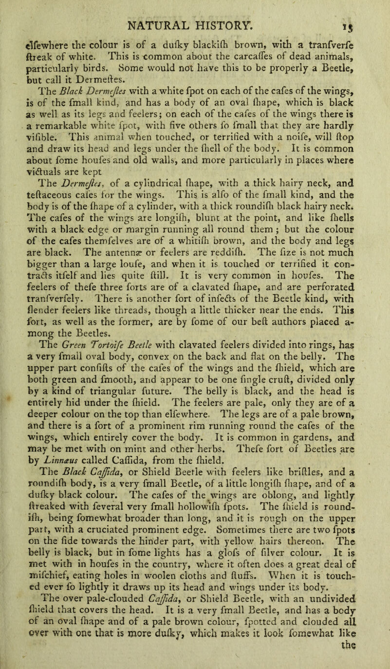 *S tlfewhere tlie colour is of a dufky blackifh brown, with a tranfverfe fticak of white. This is common about the carcalfes of dead animals, particularly birds. Some would not have this to be properly a Beetle, but call it Dermelfes. The Black Dermejies with a white fpot on each of the cafes of the wings, is of the fmall kind, and has a body of an oval lhape, which is black as well as its legs and feelers; on each of the cafes of the wings there is a remarkable white fpot, with five others fo fmall that they are hardly vifible. This animal when touched, or terrified with a noife, will ftop and draw its head and legs under the (hell of the body. It is common about fome houfes and old walls, and more particularly in places where vidluals are kept The Dermejies, of a cylindrical (hape, wfith a thick hairy neck, and teftaceous cales for the wings. This is alfo of the fmall kind, and the body is of the fhape of a cylinder, with a thick roundifli black hairy neck. The cafes of the wings are longifii, blunt at the point, and like Ihells with a black edge or margin running all round them; but the colour of the cafes themfelves are of a whitifii brown, and the body and legs are black. The antennse or feelers are reddifh. The fize is not much bigger than a large loufe, and when it is touched or terrified it con- tra5s itfelf and lies quite ftill. It is very common in houfes. The feelers of thefe three forts are of a clavated (hape, and are perforated tranfverfely. There is another fort of infeifis of the Beetle kind, with (lender feelers like threads, though a little thicker near the ends. This fort, as well as the former, are by fome of our beft authors placed a- mong the Beetles. The Green Tortoife Beetle with clavated feelers divided into rings, has a very fmall oval body, convex on the back and flat on the belly. The upper part confifts of the cafes of the wings and the fliield, which are both green and fmooth, and appear to be one Angle cruft, divided only by a kind of triangular future. The belly is black, and the head is entirely hid under the fliield. The feelers are pale, only they are of a deeper colour on the top than elfewhere. The legs are of a pale brown, and there is a fort of a prominent rim running round the cafes of the wings, which entirely cover the body. It is common in gardens, and may be met with on mint and other herbs. Thefe fort of Beetles are by Linnaus called Caflida, from the fliield. The Black CaJJtda^ or Shield Beetle with feelers like briftles, and a roundifli body, is a very fmall Beetle, of a little longilh fliape, and of a dulky black colour. The cafes of the^wings are oblong, and lightly ftreaked wfith feveral very fmall hollowifli fpots. The fliield is round- ifli, being fomewhat broader than long, and it is rough on the upper part, with a cruciated prominent edge. Sometimes there are two fpots on the fide towards the hinder part, with yellow hairs thereon. The belly is black, but in fome lights has a glofs of filver colour. It is met with in houfes in the country, where it often does a great deal of mifchief, eating holes in woolen cloths and fluffs. When it is touch- ed ever fo lightly it draws up its head and wings under its body. The over pale-clouded Cajfida^ or Shield Beetle, with an undivided fliield that covers the head. It is a very fmall Beetle, and has a body of an oval fliape and of a pale brown colour, fpotted and clouded all over with one that is more dufky, which makes it look fomewhat like the