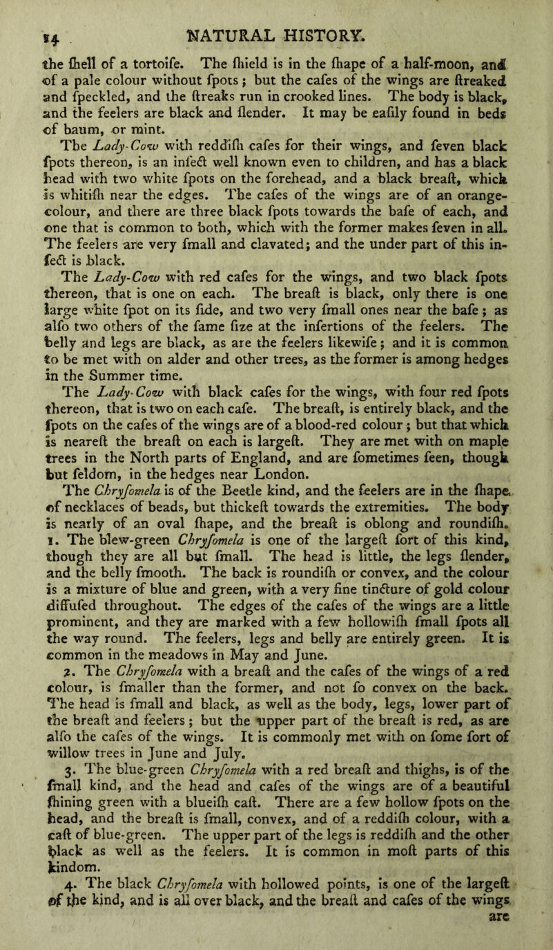 H the fiiell of a tortolfe. The Ihield is in the fliape of a half-moon, an4 of a pale colour without fpots ; but the cafes of the wings are ftreaked and fpeckled, and the ftreaks run in crooked lines. The body is blacky and the feelers are black and llender. It may be eafdy found in beds of baum, or mint. The Lacfy-CoKv with reddifh cafes for their wings, and feven black fpots thereon, is an infedt well known even to children, and has a black head with two white fpots on the forehead, and a black breaft, which is whitifh near the edges. The cafes of the wings are of an orange- colour, and there are three black fpots towards the bafe of each, and one that is common to both, which with the former makes feven in all. The feelers arle very fmall and clavated; and the under part of this in- fed is black. The Lady-Cow with red cafes for the wings, and two black fpots thereon, that is one on each. The breaft is black, only there is one large w’hite fpot on its fide, and two very fmall ones near the bafe; as alfo two others of the fame fize at the infertions of the feelers. The belly and legs are black, as are the feelers likewife; and it is common to be met with on alder and other trees, as the former is among hedges in the Summer time. The Lady- Cow with black cafes for the wings, with four red fpots thereon, that is two on each cafe. The breaft, is entirely black, and the fpots on the cafes of the wings are of a blood-red colour; but that which is neareft the breaft on each is largeft. They are met with on maple trees in the North parts of England, and are fometimes feen, though but feldom, in the hedges near London. The Ckryfomela is of the Beetle kind, and the feelers are in the fhape of necklaces of beads, but thickeft towards the extremities. The body is nearly of an oval fhape, and the breaft is oblong and roundifli. I. The blew-green Chryfomela is one of the largeft fort of this kind, though they are all but fmall. The head is little, the legs flender, and the belly fmooth. The back is roundifti or convex, and the colour is a mixture of blue and green, with a very fine tinefture of gold colour diffufed throughout. The edges of the cafes of the wings are a little prominent, and they are marked with a few hollowifli fmall fpots all the way round. The feelers, legs and belly are entirely green. It is common in the meadows in May and June. a. The Chryfomela with a breaft and the cafes of the wings of a red colour, is fmallcr than the former, and not fo convex on the back. The head is fmall and black, as well as the body, legs, lower part of the breaft and feelers ; but the upper part of the breaft is red, as are alfo the cafes of the wings. It is commonly met with on feme fort of willow trees in June and July. 3. The blue-green Chryfomela with a red breaft and thighs, is of the (mall kind, and the head and cafes of the wings are of a beautiful fhining green with a blueifti caft. There are a few hollow fpots on the head, and the breaft is fmall, convex, and of a reddifti colour, with a caft of blue-green. The upper part of the legs is reddilh and the other black as well as the feelers. It is common in moft parts of this kindom. 4. The black Chryfomela with hollowed points, is one of the largeft the kind, and is all over black, and the breaft and cafes of the wings are