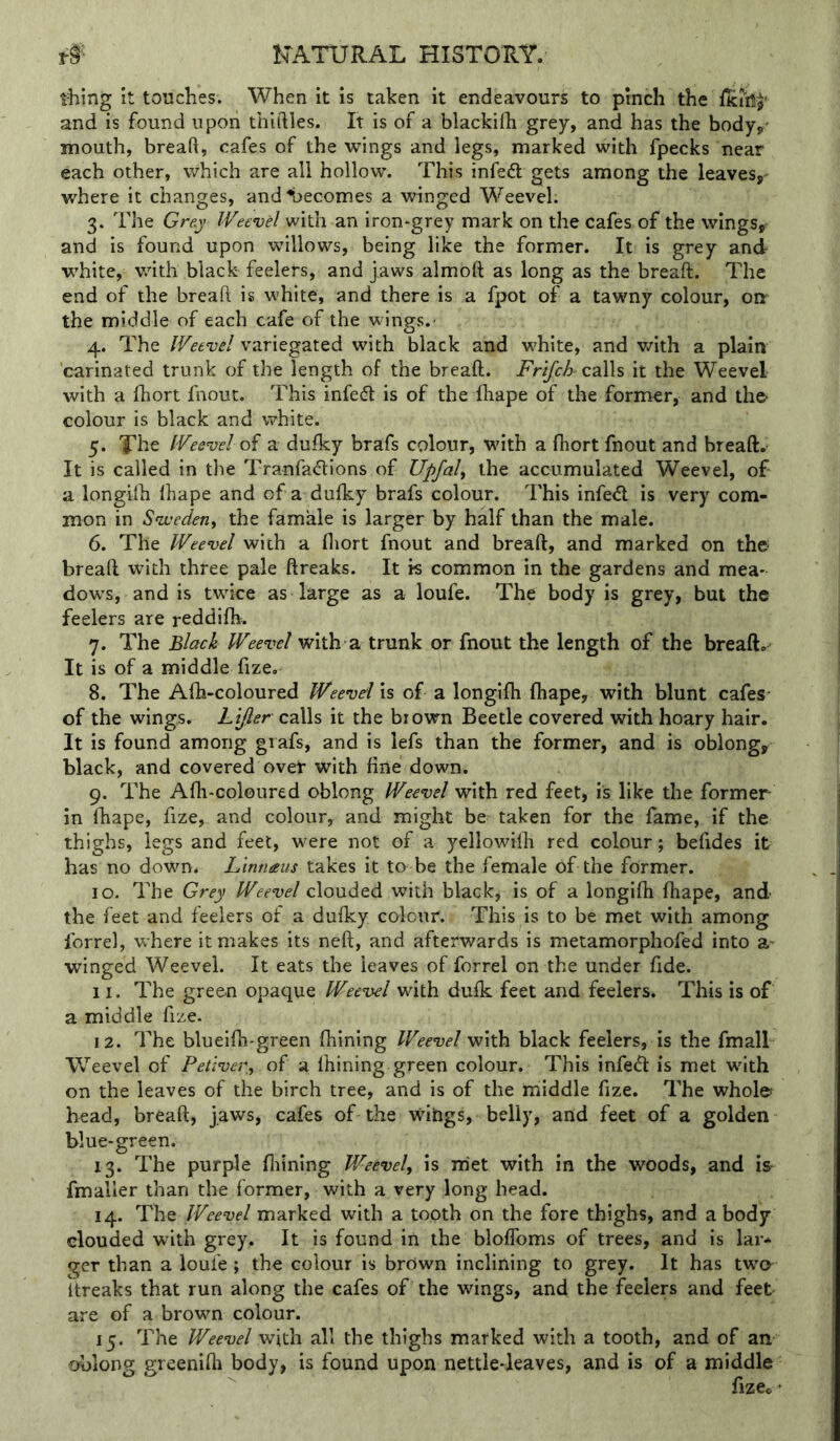 tiling it touches. When it is taken it endeavours to pinch the ficiilp' and is found upon thirties. It is of a blackifh grey, and has the body,' mouth, breaft, cafes of the wings and legs, marked with fpecks near each other, which are all hollow. This infeft gets among the leaves,' where it changes, andliecomes a winged Weevel. 3. The Gr&y Weevel with an iron-grey mark on the cafes of the wings, and is found upon willows, being like the former. It is grey and white, with black feelers, and jaws almoft as long as the breaft. The end of the breaft is white, and there is a fpot of a tawny colour, oa the middle of each cafe of the wings. 4. The Weevel variegated with black and white, and v/ith a plain carinated trunk of the length of the breaft. calls it the Weevel with a fhort fnout. This infe<ft is of the ftiape of the former, and the- colour is black and white. 5. I^he Weevel oi a dufky brafs colour, wdth a fhort fnout and breaft. It is called in the Tranfa<ftions of Upfal, the accumulated Weevel, of a longiih lhape and of a dufky brafs colour. This infed is very com- mon in Snvederiy the famale is larger by half than the male. 6. The Weevel with a fliort fnout and breaft, and marked on the breaft wftth three pale ftreaks. It is common in the gardens and mea- dow's, and is twrtce as large as a loufe. The body is grey, but the feelers are reddifh. 7. The Black Weevel with a trunk or fnout the length of the breaft. It is of a middle fize. 8. The Afh-coloured Weevel is of a longifh fhape, with blunt cafes- of the wings. Lifter calls it the brown Beetle covered with hoary hair. It is found among grafs, and is lefs than the former, and is oblong, black, and covered over with fine down. 9. The Afh-coloured oblong Weevel with red feet, is like the former- in fhape, fize, and colour, and might be taken for the fame, if the thighs, legs and feet, were not of a yellowifh red colour; befides it has no down. Linnaus takes it to be the female of the former. 10. The Grey Weevel clouded with black, is of a longifh fhape, and the feet and feelers of a dufky colour. This is to be met with among Ibrrel, where it makes its neft, and afterwards is metamorphofed into a- winged Weevel. It eats the leaves of forrel on the under fide. 11. The green opaque Weevel with dufk feet and feelers. This is of a middle fize. 12. The blueifh-green fhining Weevel with black feelers, is the fmall Weevel of Petiver, of a fhining green colour. This infect is met with on the leaves of the birch tree, and is of the middle fize. The whole head, breaft, jaws, cafes of the wibgs, belly, and feet of a golden blue-green. 13. The purple fliining Weevel, is met with in the woods, and is fmaller than the former, with a very long head. 14. The Weevel marked with a tooth on the fore thighs, and a body clouded with grey. It is found in the bloftbms of trees, and is lar- ger than a loufe; the colour is brown inclining to grey. It has tw'o Itreaks that run along the cafes of the wings, and the feelers and feet are of a brown colour. 15. The Weevel w\\h. all the thighs marked with a tooth, and of an oblong greenifh body, is found upon nettle-leaves, and is of a middle fizeo ’