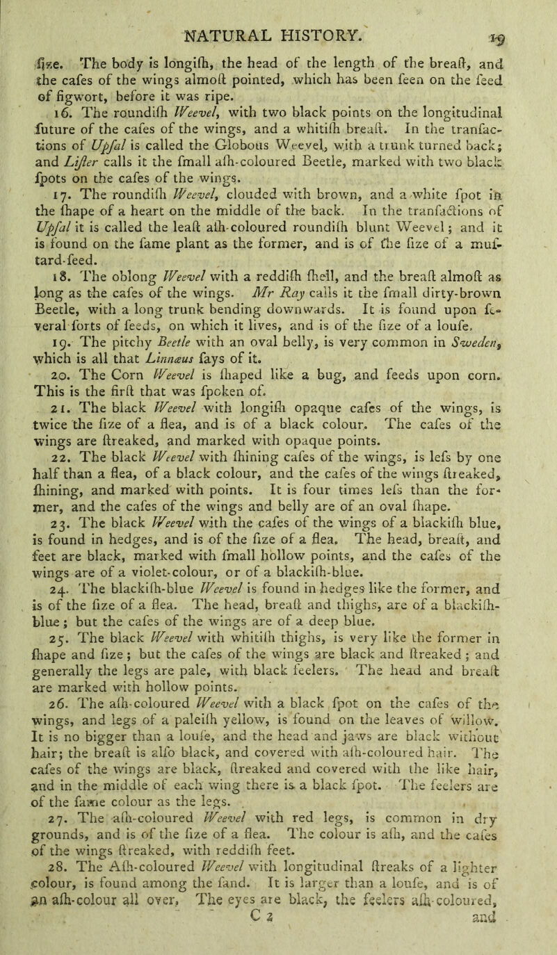 The body is longifli, the head of the length of the breafi, and the cafes of the wings almoil pointed, which has been feen on the feed of figwort, before it was ripe. 16. The roundilh IVeevel^ with two black points on the longitudinal future of the cafes of the wings, and a whitiOi breaft. In the tranfac- tions of Upfal is called the Globotis W.eeyel., with a trunk turned back; and Lijler calls it the fmall aih-coloured Beetle, marked with two black fpots on the cafes of the wings. 17. The roundiilt Weevel^ clouded with brown, and a -white fpot in the lhape of a heart on the middle of the back. In the tranfadions of Upfal Vi is called the lead alh-coloured roundilh blunt Weevel; and it is found on the fame plant as the former, and is of fhe fize of a mui- tard-feed. 18. The oblong Weemel with a reddifh fheil, and the breaft almoPc as long as the cafes of the wings. Mr Ray calls it the fmall dirty-brown Beetle, with a long trunk bending downwards. It is found upon ft* Veral forts of feeds, on which it lives, and is of the fize of a loufe. 19. The pitchy Beetle with an oval belly, is very common in S^eden^ \vhich is all that Linnaus fays of it. 20. The Corn V/eevel is lhaped like a bug, and feeds upon corn. This is the firft that was fpoken of. 21. The black Weevel vjxxh. longifti opaque cafes of the wings, is twice the frze of a flea, and is of a black colour. The cafes of the wings are ftreaked, and marked with opaque points. 22. The black Weevel with. Ihining cafes of the wings, is lefs by one half than a flea, of a black colour, and the cafes of the wings ftreaked, ihining, and marked with points. It is four times lefs than the for- mer, and the cafes of the wings and belly are of an oval fhape. 23. The black V/eevel with the cafes of the wings of a blackifh blue, is found in hedges, and is of the fize of a flea. The head, breaft, and feet are black, marked with fmall hollow points, and the cafes of the wings are of a violet-colour, or of a blackilh-blue. 24. The blackifh-blue Weevel is found in hedges like the former, and is of the flze of a flea. The head, breaft and thighs, are of a blackifti- blue; but the cafes of the wings are of a deep blue. 25. The black Weevel with whitilh thighs, is very like the former in fhape and fize; but the cafes of the wings are black and ftreaked ; and generally the legs are pale, with black feelers. The head and breaft are marked with hollow points. 26. The afli-coloured Weevel with a black fpot on the cafes of the wings, and legs of a paleilh yellow, is found on the leaves of willow. It is no bigger than a louie, and the head and jaws are black without hair; the breaft is alfo black, and covered with alh-coloured hair. The cafes of the wings are black, ftreaked and covered with the like hair, and in the middle of each wing there is a black fpot. The feelers are of the fame colour as the legs. 27. The -afti-coioured Weevel with red legs, is common in dry grounds, and is of the fize of a flea. The colour is afn, and the cafes of the wings ftreaked, with reddilh feet. 28. The Afh-coloured Weevel w’ith longitudinal ftreaks of a lighter colour, is found among the fand. It is larger than a loufe, and is of alh-colour all over. The eyes are black, the feelers alh-coloured, C 2 and