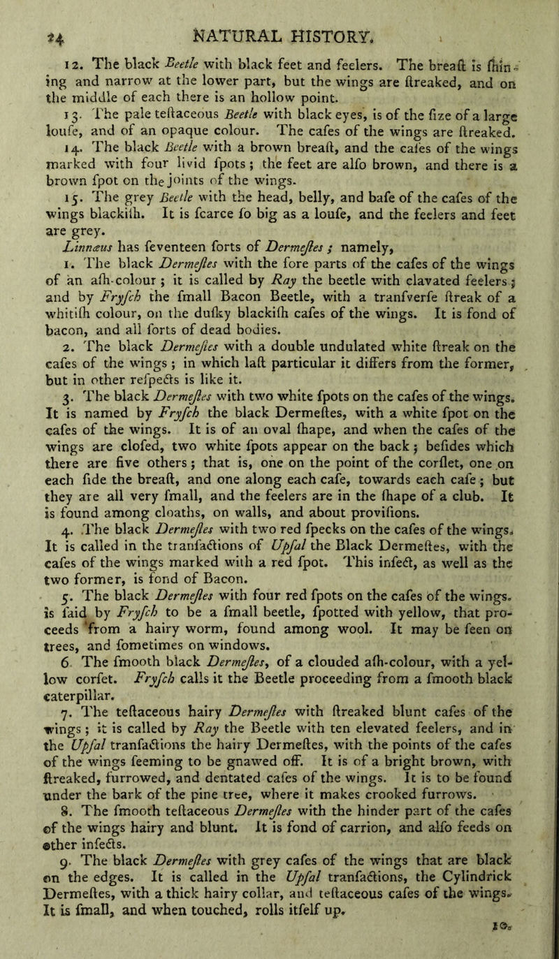 12. The black beetle with black feet and feelers. The bread is (bin- ing and narrow at the lower part* but the wings are ftreaked, and on the middle of each there is an hollow point. 13. The pale teftaceous Beetle with black eyes, is of the fize of a large loufe, and of an opaque colour. The cafes of the wings are ftreaked. 14. The black Beetle with a brown breaft, and the cales of the wings marked with four livid fpots; the feet are alfo brown, and there is a brown fpot on the joints of the wings. 15. The grey Beetle with the head, belly, and bafe of the cafes of the wings blackiih. It is fcarce fo big as a loufe, and the feelers and feet are grey. Linnaus has feventeen forts of Dermejles ; namely, 1. The black Dermejles with the fore parts of the cafes of the wings of an afti-colour ; it is called by Ray the beetle with clavated feelers j and by Fryfch the fmall Bacon Beetle, with a tranfverfe ftreak of a whitifli colour, on the dufliy blackiih cafes of the wings. It is fond of bacon, and all forts of dead bodies. 2. The black Dermeftes with a double undulated white ftreak on the cafes of the wrings; in which laft particular it differs from the former, but in other refpefts is like it. 3. The black Dermejles with two white fpots on the cafes of the wings. It is named by Fryfch the black Dermeftes, with a white fpot on the cafes of the wings. It is of an oval fhape, and when the cafes of the wings are clofed, two white fpots appear on the back j befides which there are five others; that is, one on the point of the corllet, one on each fide the breaft, and one along each cafe, towards each cafe; but they are all very fmall, and the feelers are in the lhape of a club. It is found among cloaths, on walls, and about provifions. 4. The black Dermejles with two red fpecks on the cafes of the wings. It is called in the tranfadions of Upfal the Black Dermeftes, with the cafes of the wings marked with a red fpot. This infetft, as well as the two former, is fond of Bacon. 5. The black Dermejles with four red fpots on the cafes of the wings, is laid by Fryfch to be a fmall beetle, fpotted with yellow, that pro- ceeds ‘from a hairy worm, found among wool. It may be feen on trees, and fometimes on windows. 6 The fmooth black Dermejles^ of a clouded afti-colour, with a yel- low corfet. Fryfch calls it the Beetle proceeding from a fmooth black caterpillar. 7. The teftaceous hairy Dermejles with ftreaked blunt cafes of the wings; it is called by Ray the Beetle with ten elevated feelers, and in the Upfal tranfa^ftions the hairy Dermeftes, with the points of the cafes of the wings feeming to be gnawed off. It is of a bright brown, with ftreaked, furrowed, and dentated cafes of the wings. It is to be found under the bark of the pine tree, where it makes crooked furrows. 8. The fmooth teftaceous Dermejles with the hinder part of the cafes ©f the wings harry and blunt. It is fond of carrion, and alfo feeds on ether infe(5ls. 9. The black Dermejles with grey cafes of the wings that are black on the edges. It is called in the Upfal tranfa<ftions, the Cylindrick Dermeftes, with a thick hairy collar, and teftaceous cafes of the wings.. It is fmall, and when touched, rolls itfelf up.