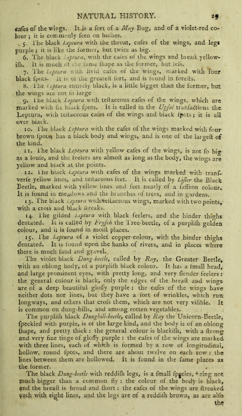 cafes of the wings. It is a fort ofLa May Bug, and of a violet-red co- lour ; it Is coniinonly feen on bullies. 5. I'he black Leptura with the throat, cafes of the wings, and leg* purple ; it is like the former, but twice as big. 6. The black Leptura, with the cafes of the wings and bieaft yellow- It is much of the iame lhape as the former, but lefs. 7. I he Ltptura with livid cafes of the wings, niarked with four black fpots. it is oi the greaieit fort, and is found in forelts. b. The Ltptura entirely black, is a little bigger than the former, but the wings are not fo large 9. I lie black Leptura wfth tellaceous cafes of the wdngs, which are marked wfih fix black fpots. It is called in the Upfai tranfadions the Leptura, wf th teltaceous cafes of the w'ings and black fpots; it is all over black. 10. i'he black Leptura with the cafes of the wings marked with four browm fpots^ has a black body and wings, and is one of the largeft of the kind. 11. i'he black Leptura with yellow cafes of the wings, is not fo big as a loufe, and the feelers are almolf as long as the body, the wings are yellow and black at the points. 12. ihe black Leptura with cafes of the wings marked with tranf- verfe yellow lines, and teltaceous feet- it is called by Ltjler the Black Beetle, marked with yellow lines and feet nearly of a faffron colour. It is found in raeadovvs and the blanches of trees, and in gardens. 13. The black Leptura wichrteilaceous wings, marked with two points, with a ciofs and black Itreaks. 14. ihe gilded Leptura with black feelers, and the hinder thighs dentated. it is called by Fryfch the Tree-beetle, of a purpiifh golden colour, and it is found in moiil places. 15. i'he Leptura of a violet copper-colour, with the hinder thighs dentated. It is found upori the banks of rivers, and in places where ^ere is much fand and gravel.. The violet black Dung beetle, called by Ray, the Greater Beetle, with an oblong body, of a purpliih black colour. It has a fmall head, and large prominent eyes, with pretty long, and very llender feelers: the general colour is black, only the edges of the breaft and wdngs are of a deep beautiful gloify purple ; the cafes of the wdngs have neither dots nor lines, but they have a fort of wrinkles, wdiich rim longways, and others that crofs them, which are not very vifible. It is common on dung-hills, and among rotten vegetables. The purpliih black Dunghill’beetle^ called by Ray the Unicorn-Beetle, fpeckled with purple, is of the large kind, and the body is of an oblong ihape, and pretty thick ; the general colour is blackifti, with a ftrong and very fine tinge of gloffy purple : the cafes of the wings are marked with three lines, each of which is formed by a row of longitudinal, hollow, round fpots, and there are about tw'elve on each row : the lines between them are hollowed. It is found in the fame places as the former. The black Dung-beetle with reddifh legs, is a fmall fp|cies, *-eing not tnuch bigger than a common fly : the colour of the body is black, and the breaft is broad and fhort: the cafes of the wings are ftreaked fach with eight lines, and the legs are of a reddifti brown, as are alfa