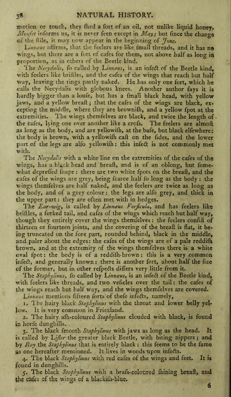 ^notion or touch, they (lied a fort of an oil, not unlike liquid honey, Mmifet informs us, it is never feen except in May; but fince the change of the ftile, it may now appear in the beginning of June. 'Lintueus affirms, that the feelers are-like fmall threads, and it has no wings, but there are a fort of cafes for them, not above half as long in proportion, as in others of the Beetle kind. The Ncrydalis, fo called by 'L.innaus, is. an infedl of the Beetle kind, with feelers like bridles, and the cafes of the wings that reach but half way, leaving the rings partly naked. He has only one fort, which he calls the Necydalis with globpus knees. Another author fays it is hardly bigger than a loufe, but has a fmall black head, with yellow jaws, and a yellow breaft; that the cafes of the wings are black, ex- cepting the middle, where they are browniffi, and a yellow fpot at the extremities. The wings themfelves are black, and twice the length of the cafes, lying one over another like a crofs. The feelers are almoft as long as the body, and are yellowiffi, at the bafe, but black elfewhere: the body is brown, with a yellowiffi caft on the fides, and the lower part of the legs are alfo yellowiffi; this infe<51: is not commonly met with. The Necydalis with a white/'line on the extremities of the cafes of the W’ings, has a black head and bread, and is of an oblong, but fome- what deprefled fliape : there are two wdiite fpots on the bread, and the cafes of the wings are grey, being fcarce half fo long as the body : the wings themfelves are half naked, and the feelers are twice as long as the body, and of a grey colour: the legs are alfo grey, and thick in the upper part: they are often met with in hedges. The Ear-^ig, is called by Ltnnaus Forjicula^ and has feelers like bridles, a forked tail, and cafes of the wings which reach but half way, though they entirely cover the wings themfelves: the feelers confid of thirteen or fourteen joints, and the covering of the bread is flat, it be- ing truncated on the fore part, rounded behind, black in the middle, and paler about the edges: the cafes of the wings are of a pale reddiffi brown, and at the extremity of the wings themfelves there is a white oval fpot: the body is of a reddiffi-browm: this is a very common infe<d:, and generally known : there is another fort, about half the fize of the former, but in other refpedls differs very little from it. The Staphylinus, fo called by Unnaus^ is an infe<5l of the Beetle kind, ■wdth feelers like threads, and two veficles over the tail: the cafes of the wungs reach but half way, and the wings themfelves are covered. Uinndcus mentions fifteen forts of thefe infedts, namely, 1. I he hairy black Staphylinus wdth the throat and lower belly yel- low, It is very common in Friezland. 2. The hairy affi-coloured Staphylinus clouded wdth black, is found in horfe dunghills. , 3. The black fmooth Staphylinus with jaws as long as the head. It is called by 'Ltfler the greater black Beetle, with biting nippers ; and by Ray the Staphylinus that is entirely black: this feems to be the fame one hereafter mentioned. It lives in woodsmpon infedls. 4. The black Staphylinus wfith red cafes of the wings and feet. It is found in dunghills. 5. The black Staphylinus with a brafs-coloured ffiining breaft, and ^he cfafes of the wings of a blackiffi-blue.