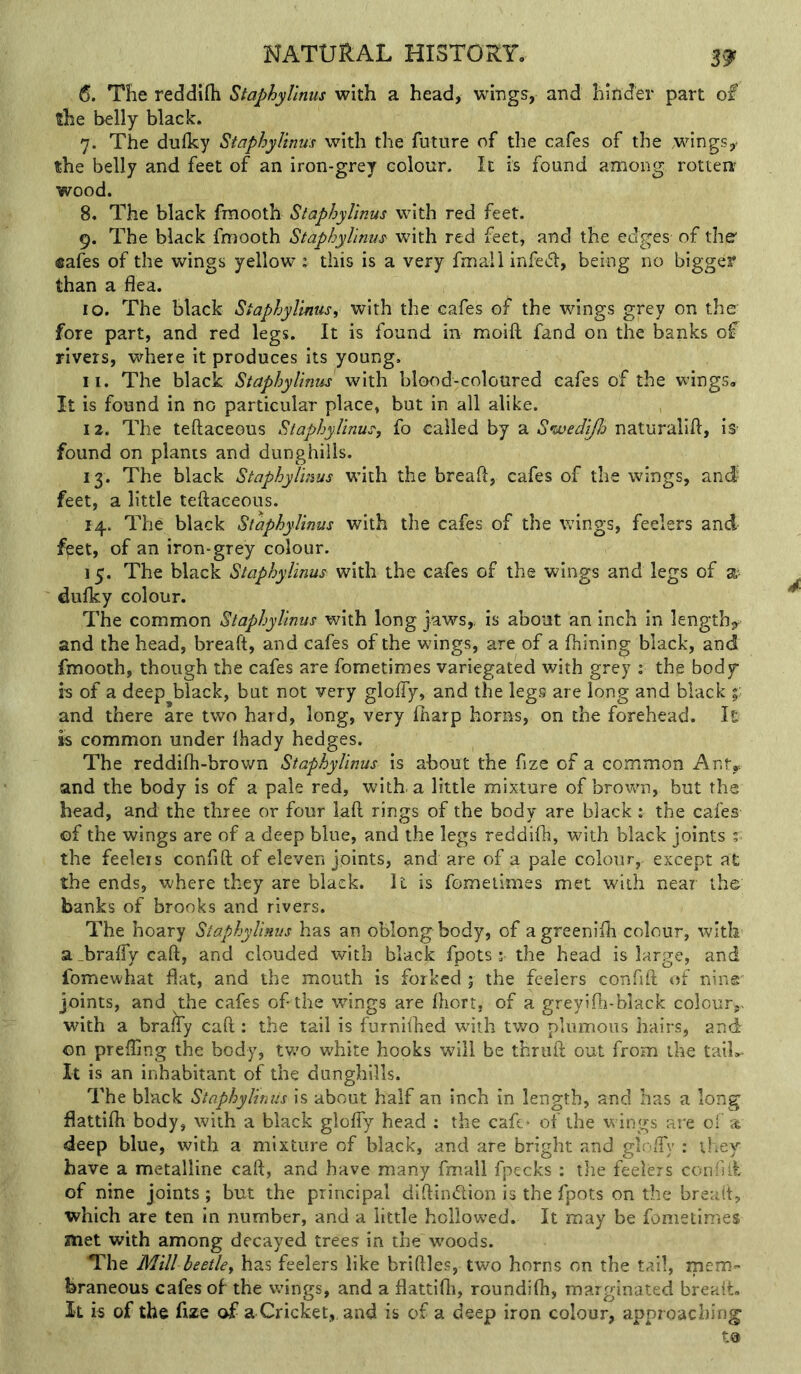 6. The reddifli StaphyUnm with a head, wmgs, and hinder part of ?he belly black. 7. The dufky Staphylinus with the future of the cafes of the wings,' the belly and feet of an iron-grey colour. It is found among rotten wood. 8. The black fmooth Staphylinus with red feet. 9. The black fmooth Staphylinus with red feet, and the edges of the' safes of the wings yellow : this is a very fmall infe^l, being no bigger than a flea. 10. The black Staphylinus, with the cafes of the wings grey on the fore part, and red legs. It is found in moift fand on the banks of rivers, where it produces its young. 11. The black Staphylinus with blood-coloured cafes of the wings. It is found in no particular place, but in all alike. 12. The teftaceous Staphylinus, fo called by a Swedijlo naturalift, iS' found on plants and dunghills. 13. The black Staphylmus with the breaft, cafes of the wings, ancf feet, a little teftaceous. 14. The black Staphylinus with the cafes of the wings, feelers and fpet, of an iron-grey colour. 15. The black Staphylinus with the cafes of the wings and legs of a- dulky colour. The common Staphylinus with long jaws,, is about an inch in length, and the head, breaft, and cafes of the wings, are of a fiiining black, and fmooth, though the cafes are fometimes variegated with grey : the body is of a deep black, but not very glolfy, and the legs are long and black and there are two hard, long, very fliarp horns, on the forehead. It is common under lhady hedges. The reddifh-brown Staphylinus is about the fize of a common Ant^ and the body is of a pale red, with, a little mixture of brown, but the head, and the three or four laft rings of the body are black: the cafes of the wings are of a deep blue, and the legs reddifh, with black joints 5 the feeleis confift of eleven joints, and are of a pale colour, except at the ends, where they are black. It is fometimes met with near the banks of brooks and rivers. The hoary Staphylinus has an oblong body, of agreenifli colour, with a _brafty caft, and clouded with black fpots ; the head is large, and fomewhat flat, and the mouth is forked ; the feelers confift of nine' joints, and the cafes of the wings are fliort, of a greyifli-black colour,, with a brafTy caft : the tail is furniftied with two plumous hairs, and on prefting the body, two white hooks will be thruft out from the taiU It is an inhabitant of the dunghills. The black Staphylinus is about half an inch in length, and has a long flattifti body, with a black gloffy head : the caft* of the wings are of 'a deep blue, with a mixture of black, and are bright and glo/fy : they have a metalline caft, and have many fmall fpecks : the feelers confift, of nine joints; but the principal diftindion is the fpots on the breaft, which are ten in number, and a little hollowed. It may be fometimes met with among decayed trees in the wmods. The Mill beetle, has feelers like briftles, two horns on the tail, mem- braneous cafes of the wings, and a flattifti, roundifli, marginated breait. It is of the fize of a Cricket,, and is of a deep iron colour, approaching