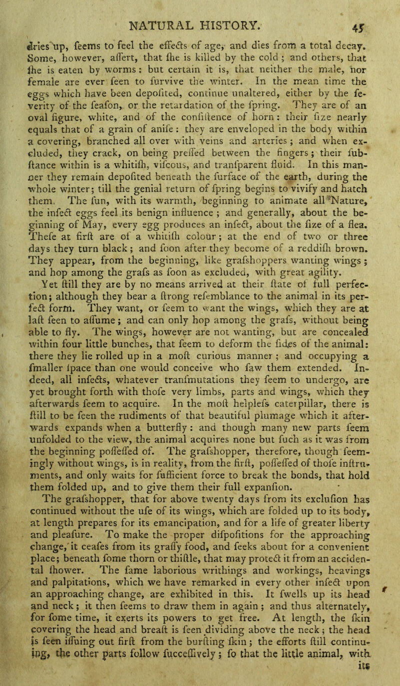 43r ^ries^tip, feems to feel the effects of age,- and dies from a total decay. Some, however, alfert, that Ihe is killed by the cold; and others, that Ihe is eaten by worms: but certain it is, that neither the male, nor female are ever feen to furvive the winter. In the mean time the eggs which have been depofited, continue unaltered, either by the fe- verity of the feafon, or the retardation of the fpring. They are of an oval figure, white, and of the confidence of horn: their fize nearly equals that of a grain of anife: they are enveloped in the body within a covering, branched all over w ith veins and arteries ; and when ex- cluded, they crack, on being preiTed between the fingers; their fub- ftance within is a whitifh, vifcous, and tranfparent fluid. In this man- ner they remain depofited beneath the furface of the earth, during the whole winter; till the genial return of fpring begins to vivify and hatch them: The fun, with its warmth, beginning to animate all Mature, the infect eggs feel its benign influence ; and generally, about the be- ginning of May, every egg produces an infe6t, about the fize of a flea, Thefe at firft are of a whitifli colour; at the end of two or three days they turn black; and foon after they become of a reddifh brown. They appear, from the beginning, like grafshoppers wanting wfings ; and hop among the grafs as foon as excluded, with great agility. Yet ftill they are by no means arrived at their date of full perfec- tion; although they bear a ftrong refemblance to the animal in its per- fedl fortri. They want, or feem to want the wings, which they are at laft feen to alfume; and can only hop among the grafs, without being able to fly. The wings, however are not wanting, but are concealed within four little bunches, that feem to deform the fides of the animal: there they lie rolled up in a moft curious manner ; and occupying a fmaller Ipace than one would conceive who faw them extended. In- deed, all infedls, whatever tranfmutations they feem to undergo, are yet brought forth with thofe very limbs, parts and wings, which they afterwards feem to acquire. In the moft helplefs caterpillar, there is ftill to be feen the rudiments of that beautiful plumage which it after- wards expands when a butterfly: and though many new parts feem unfolded to the view, the animal acquires none but fuch as it w^as from the beginning poflefted of. The grafshopper, therefore, though feem- jngly without wings, is in reality, from the firft, poflefled of thofe inftrtt- ments, and only waits for fufficient force to break the bonds, that hold them folded up, and to give them their full expanfion. The grafshopper, that for above twenty days from its exclufion has continued without the ufe of its wings, which are folded up to its body, at length prepares for its emancipation, and for a life of greater liberty and pleafure. To make the proper difpofitions for the approaching change,'it ceafes from its graffy food, and feeks about for a convenient place; beneath fome thorn or thiftle, that may proted it from an acciden- tal Ihower. The fame laborious WTithings and workings, heavings and palpitations, which we have remarked in every other infed upon an approaching change, are exhibited in this. It fwells up its head and neck; it then feems to draw them in again ; and thus alternately, for fome time, it exerts its powers to get free. At length, the Ikin covering the head and breaft is feen dividing aboAre the neck; the head is feen ilTuing out firft from the burfting Ikin; the efforts ftill continu- ing, the other f»arts follow fucceflively; fo that the little animal, with.