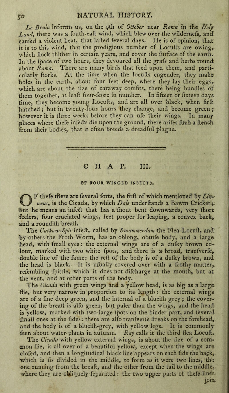 J5 Le Bruin informs us, on the 9th of OBoler near Rama in the Hoff Land^ there was a fouth-eaft wind, which blew over the wildemefs, and caufcd a violent heat, that lafted feveral days. He is of opinion, that it is to this wind, that the prodigious number of Locufts are owing,v which flock thither in certain years, and cover the furface of the earth. In the fpace of two hours, they devoured all the grafs and herbs round about Rama. There are many birds that feed upon them, and parti- cularly ftorks. At the time when the locufts engender, they make holes in the earth, about four feet deep, where they lay their eggs, which are about the fize of caraway comfits, there being bundles of them together, at leaft four-fcore in number. In fifteen or fixteen days time, they become young Locufts, and are all over black, when firft hatched ; but in twenty-four, hours they change, and become green ; however it is three weeks before they can ufe their wings. In many places where thefe infers die upon the ground, there arifes fueh a ftench from their bodies, that it often breeds a dreadful plague. chap: hi. OV FOUR WINGED INSECTS* OF thefe there are feveral forts, the firft of which mentioned by naus, is the Cicada, by which Dale underftands a Bawm Cricket ;- but he means an infedt that has a fnout bent downwards, very fiiort feelers, four cruciated wings, feet proper for leaping, a convex back, and a roundilh breaft. The Cuckonv-Spit infedf, called by Swammerdam the Flea-Locuft, and by others the Froth-Worm, has an oblong, obtufe body, and a large head, with fmall eyes: the external wings are of a dulky brown co- lour, marked with two white fpots, and there is a broad, tranfverfe, double line of the fame: the reft of the body is of a dulky brown, and the head is black. It is ufually covered over with a frothy matter, refembling fpittle, which it does not difcharge at the mouth, but at the vent, and at other parts of the body. The Cicada with green wings and a yellow head, is as big as a large flie, but very narrow in proportion to its length : the external wings are of a fine deep green, and the internal of a blueifh grey; the cover- ing of the breaft is alfo green, but paler than the wings, and the head is yellow, marked with two large fpots on the hinder part, and feveral fmall ones at the fides: there are alfo tranfverfe ftreaks on the forehead, and the body is of a blueilh-grey, with yellow legs. It is commonly feen about water-plants in autumn. Ray calls it the third flea Locuft. The Cicada with yellow external wings, is about the fize of a com- mon flie, is all over of a beautiful yellow^ except when the wings are clofed, and then a longitudinal black line appears on each fide the back, which is fo divided in the middle, to form as it were two lines, the one running from the breaft, and the other from the tail to the middle, where they are oliliquely feparated : the two upper parts of thefe lines