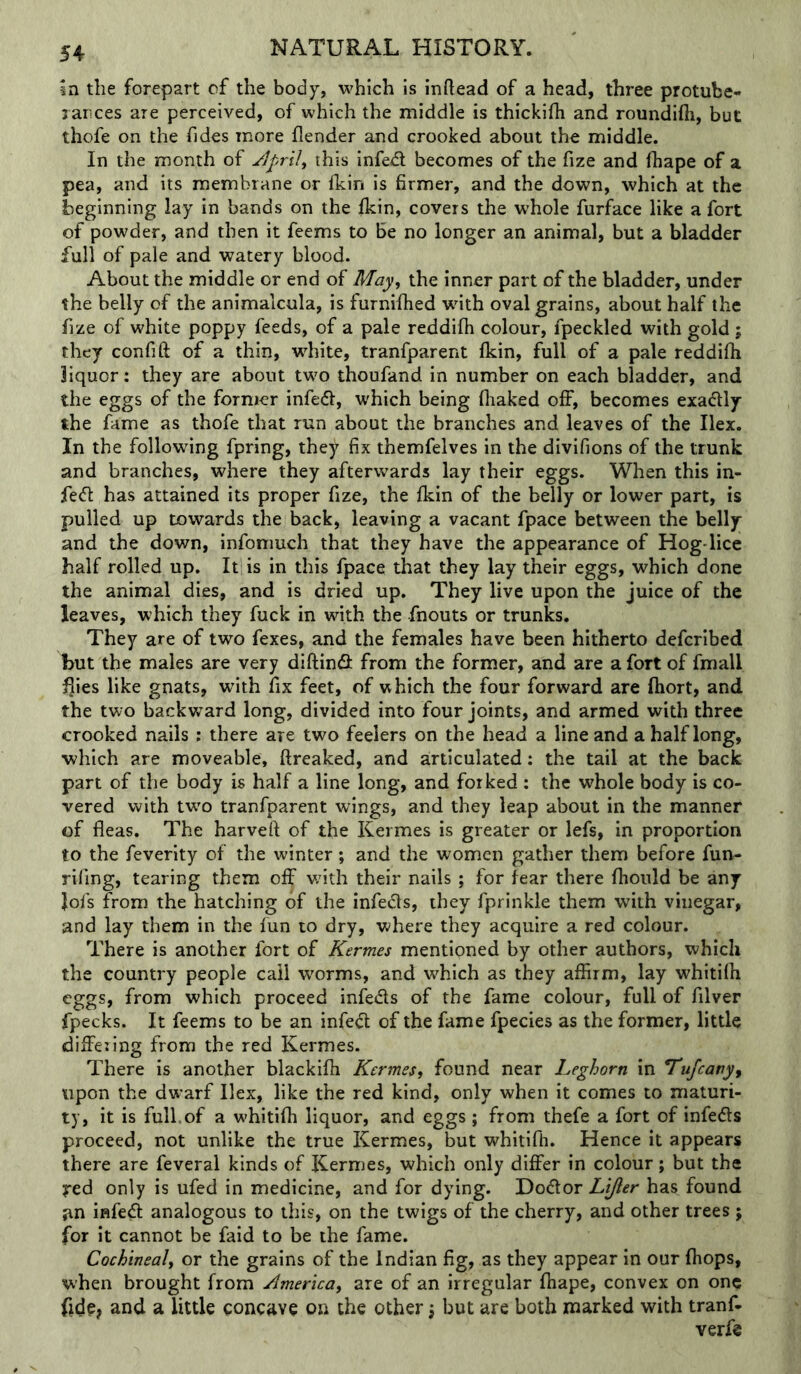 in the forepart of the body, which is inftead of a head, three protube- rances are perceived, of which the middle is thickifh and roundifli, but thofe on the Tides more {lender and crooked about the middle. In the month of jlpril^ this infed; becomes of the Tize and fhape of a pea, and its membrane or ikin is firmer, and the down, which at the beginning lay in bands on the {kin, covers the whole furface like a fort of powder, and then it feems to be no longer an animal, but a bladder full of pale and watery blood. About the middle or end of May, the inner part of the bladder, under the belly of the animalcula, is furnifhed wdth oval grains, about half the fize of white poppy feeds, of a pale reddifh colour, fpeckled with gold ; they confift of a thin, wdiite, tranfparent {kin, full of a pale reddiih liquor: they are about twm thoufand in number on each bladder, and the eggs of the former infeifl, W'hich being {liaked olf, becomes exadlly the fame as thofe that run about the branches and leaves of the Ilex. In the following fpring, they fix themfelves in the divifions of the trunk and branches, where they afterwards lay their eggs. When this in- fect has attained its proper fize, the fkin of the belly or lower part, is pulled up towards the back, leaving a vacant fpace between the belly and the down, infomuch that they have the appearance of Hog-lice half rolled up. It; is in this fpace that they lay their eggs, which done the animal dies, and is dried up. They live upon the juice of the leaves, which they fuck in with the fnouts or trunks. They are of two fexes, and the females have been hitherto defcribed but the males are very diftinfl from the former, and are a fort of fmall fiies like gnats, with fix feet, of which the four forward are Ihort, and the two backward long, divided into four joints, and armed with three crooked nails ; there are two feelers on the head a line and a half long, which are moveable, {Ireaked, and articulated: the tail at the back part of the body is half a line long, and forked : the whole body is co- vered with tw’o tranfparent wings, and they leap about in the manner of {leas. The harveft of the Kermes is greater or lefs, in proportion to the feverity of the winter; and the women gather them before fun- rifing, tearing them olF vdth their nails ; for fear there {hoiild be any lofs from the hatching of the infers, they fprinkle them with vinegar, and lay them in the fun to dry, where they acquire a red colour. There is another fort of Kermes mentioned by other authors, which the country people call worms, and which as they affirm, lay whitifii eggs, from which proceed infeds of the fame colour, full of filver fpecks. It feems to be an infefl of the fame fpecies as the former, little differing from the red Kermes. There is another blackifh Kermes, found near Leghorn in Tu/canyf upon the dwarf Ilex, like the red kind, only when it comes to maturi- ty, it is full.of a whitifh liquor, and eggs ; from thefe a fort of infeds proceed, not unlike the true Kermes, but whitifh. Hence it appears there are feveral kinds of Kermes, which only differ in colour; but the j-ed only is ufed in medicine, and for dying. Dodor Lifter has found an infed analogous to this, on the twigs of the cherry, and other trees ; for it cannot be faid to be the fame. Cochineal, or the grains of the Indian fig, as they appear in our {hops, when brought from America, are of an irregular fhape, convex on one fide? and a little concave on the other \ but are both marked with tranf- verfe