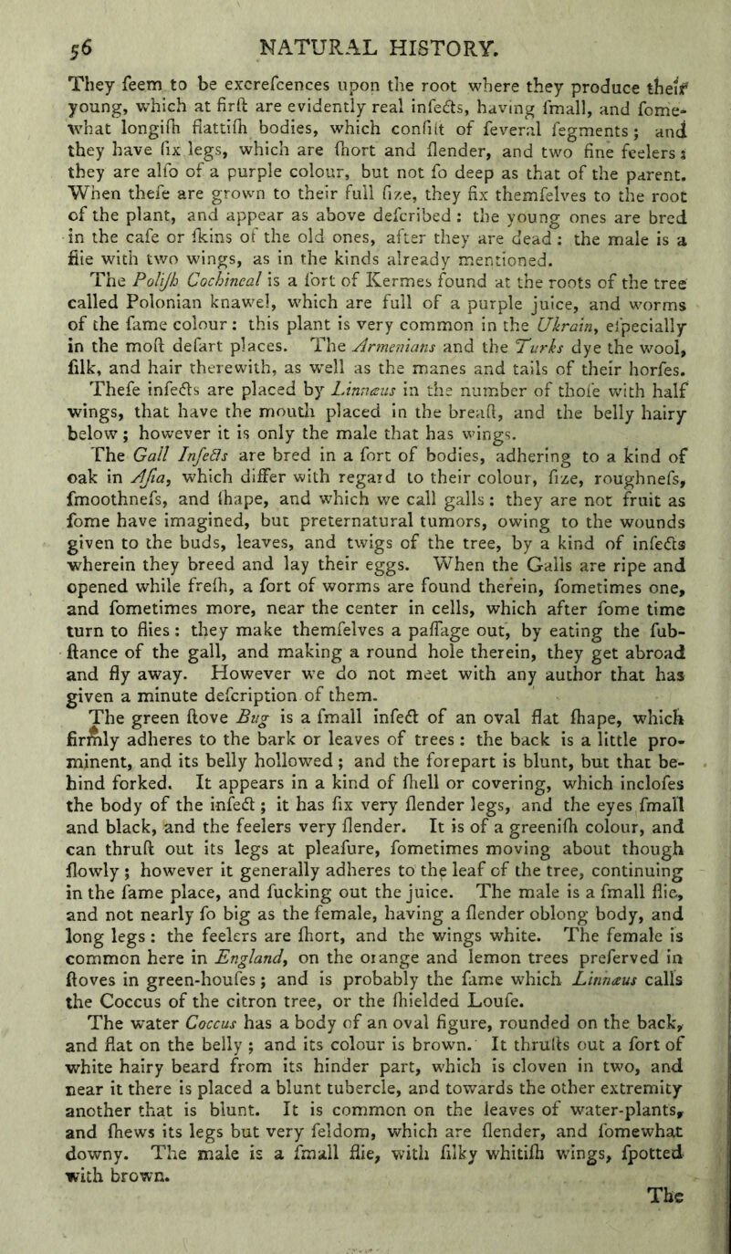 They feem to be excrefcences upon the root where they produce theif young, which at firft are evidently real infedts, having fmall, and fome- what longifh fiattifh bodies, which confiit of feveral fegments; and they have fix legs, which are fhort and flender, and two fine feelers 3 they are alfo of a purple colour, but not fo deep as that of the parent. When thefe are grown to their full fize, they fix themfelves to the root of the plant, and appear as above defcribed : the young ones are bred in the cafe or fkins of the old ones, after they are dead; the male is a fiie with two wings, as in the kinds already mentioned. The Polijh Cochineal is a fort of Kermes found at the roots of the tree called Polonian knawel, which are full of a purple juice, and worms of the fame colour: this plant is very common in the Ukrahy efpecially in the mofi: defart places. The Armenians and the Turks dye the wool, filk, and hair therewith, as w'ell as the manes and tails of their horfes. Thefe infedls are placed by Linntziis in the number of thofe with half wings, that have the mouth placed in the breaft, and the belly hairy below; however it is only the male that has wings. The Gall InfeBs are bred in a fort of bodies, adhering to a kind of oak in Afia, which differ with regard to their colour, fize, roughnefs, fmoothnefs, and ihape, and which we call galls: they are not fruit as fome have imagined, but preternatural tumors, owing to the wounds given to the buds, leaves, and twigs of the tree, by a kind of infeds wherein they breed and lay their eggs. When the Galls are ripe and opened while frefh, a fort of worms are found therein, fometimes one, and fometimes more, near the center in cells, which after fome time turn to flies: they make themfelves a pafTage out, by eating the fub- ftance of the gall, and making a round hole therein, they get abroad and fly away. However w’e do not meet with any author that has given a minute defcription of them. The green flove Bug is a fmall infedl of an oval flat fhape, which firmly adheres to the bark or leaves of trees: the back is a little pro- minent, and its belly hollowed; and the forepart is blunt, but that be- hind forked. It appears in a kind of fhell or covering, which inclofes the body of the infedl; it has fix very flender legs, and the eyes fmall and black, and the feelers very flender. It is of a greenifh colour, and can thruft out its legs at pleafure, fometimes moving about though flowly ; however it generally adheres to the leaf of the tree, continuing in the fame place, and fucking out the juice. The male is a fmall flie, and not nearly fo big as the female, having a flender oblong body, and long legs: the feelers are ihort, and the wings white. The female is common here in England^ on the oiange and lemon trees preferved in ftoves in green-houfes; and is probably the fame which Linhaus calls the Coccus of the citron tree, or the fliielded Loufe. The water Coccus has a body of an oval figure, rounded on the back, and fiat on the belly ; and its colour is brown. It thrults out a fort of white hairy beard from its hinder part, which is cloven in two, and near it there is placed a blunt tubercle, and towards the other extremity another that is blunt. It is common on the leaves of water-plants, and (hews its legs but very feldom, which are flender, and fomewhat downy. The male is a imall flie, with filky whitifli wings, fpotted with brown.