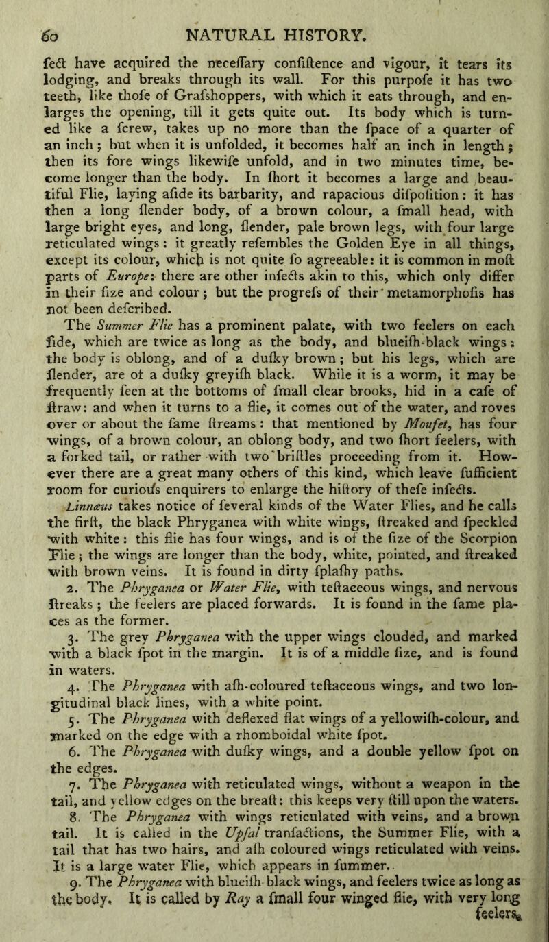 fedl have acquired the neceffary confiftence and vigour, It tears its lodging, and breaks through its wall. For this purpofe it has twa teeth, like thofe of Grafshoppers, with which it eats through, and en- larges the opening, till it gets quite out. Its body which is turn- ed like a ferew, takes up no more than the fpace of a quarter of an inch; but when it is unfolded, it becomes half an inch in length; then its fore wings likewife unfold, and in two minutes time, be- come longer than the body. In Ihort it becomes a large and beau- tiful Flie, laying afide its barbarity, and rapacious difpofition: it has then a long (lender body, of a brown colour, a fmall head, with large bright eyes, and long, (lender, pale brown legs, with four large reticulated wings: it greatly refembles the Golden Eye in all things, except its colour, which is not quite fo agreeable: it is common in moft parts of Europe: there are other infedls akin to this, which only dilFer in their fize and colour; but the progrefs of their'metamorphofis has not been deferibed. The Summer Flie has a prominent palate, with two feelers on each fide, which are twice as long as the body, and bluei(h-black wings: the body is oblong, and of a du(ky brown; but his legs, which are flender, are ot a du(ky greyilh black. While it is a worm, it may be frequently feen at the bottoms of fmall clear brooks, hid in a cafe of Rraw: and when it turns to a flie, it comes out of the water, and roves over or about the fame dreams: that mentioned by Moufet^ has four ■wings, of a brown colour, an oblong body, and two Abort feelers, with a forked tail, or rather with two'briftles proceeding from it. How- ever there are a great many others of this kind, which leave fuIKcient room for curioi/s enquirers to enlarge the hiltory of thefe infers. Linnaus takes notice of feveral kinds of the Water Flies, and he calls the firfl, the black Phryganea with white wings, ftreaked and fpeckled ■with white: this flie has four wings, and is of the fize of the Scorpion Tiie; the wings are longer than the body, white, pointed, and ftreaked ■with brown veins. It is found in dirty fplafhy paths. 2. The Phryganea or Water Flie, with teftaceous wings, and nervous ftreaks; the feelers are placed forwards. It is found in the fame pla- ces as the former. 3. The grey Phryganea with the upper wings clouded, and marked with a black fpot in the margin. It is of a middle flze, and is found in waters. 4. The Phryganea with a(h-coloured teftaceous wings, and two lon- gitudinal black lines, with a white point. 5. The Phryganea with deflexed flat wings of a yellowi(h-colour, and marked on the edge with a rhomboidal white fpot, 6. The Phryganea with du(ky wings, and a double yellow fpot on the edges. 7. The Phryganea with reticulated wings, without a weapon in the tail, and yellow edges on the breaft: this keeps very ftill upon the waters. 8. The Phryganea with wings reticulated with veins, and a brow;n tail. It is called in the Upfal tranfaeftions, the Summer Flie, with a tail that has two hairs, and afh coloured wings reticulated with veins. It is a large water Flie, which appears in fummer. 9. The Phryganea with blueilh black wings, and feelers twice as long as the body. It is called by Ray a fmall four winged flie, with very long feelers^