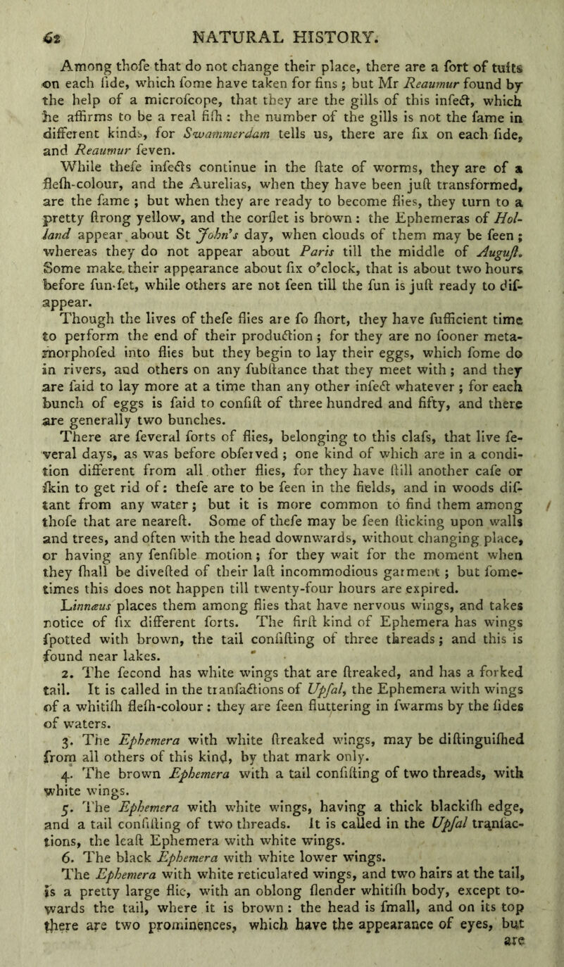 Among thofe that do not change their place, there are a fort of tuits on each fide, which fome have taken for fins ; but Mr Reaumur found by the help of a microfcope, that they are the gills of this infedl, which he affirms to be a real fifh; the number of the gills is not the fame in different kinds, for Swa?nmerdam tells us, there are fix on each fide, and Reaumur feven. While thefe infers continue in the ftate of worms, they are of % fiefh-colour, and the Aurelias, when they have been juft transformed, are the fame ; but when they are ready to become flies, they turn to a pretty ftrong yellow, and the corflet is brown: the Ephemeras of HoU land appear ^ about St John^s day, when clouds of them may be feen; whereas they do not appear about Paris till the middle of Augujl, Some make, their appearance about fix o’clock, that is about two hours before fun-fet, while others are not feen till the fun is juft ready to dif- appear. Though the lives of thefe flies are fo fhort, they have fufficient time to perform the end of their produflion 5 for they are no fooner meta- Hiorphofed into flies but they begin to lay their eggs, which fome do an rivers, and others on any fubftance that they meet with; and they are faid to lay more at a time than any other infedl whatever ; for each bunch of eggs is faid to confift of three hundred and fifty, and there are generally two bunches. There are feveral forts of flies, belonging to this clafs, that live fe- vcral days, as was before obferved ; one kind of which are in a condi- tion different from all. other flies, for they have ftill another cafe or ikin to get rid of: thefe are to be feen in the fields, and in woods dif- tant from any water; but it is more common to find them among thofe that are neareft. Some of thefe may be feen flicking upon walls and trees, and often with the head downwards, without changing place, or having any fenfible motion; for they wait for the moment when they fhall be divefted of their laft incommodious garment; but fome- times this does not happen till twenty-four hours are expired. 'Linnaus places them among flies that have nervous wings, and takes notice of fix different forts. The firft kind of Ephemera has wings fpotted with brown, the tail confifting of three threads; and this is found near lakes. 2. The fecond has white wings that are ftreaked, and has a forked tail. It is called in the tranfa^ions of Upfal, the Ephemera with wings of a whitifli flefh-colour: they are feen fluttering in fwarms by the fides of waters. 3. The Ephemera with white ftreaked wings, may be diftinguiftied frorn all others of this kind, by that mark only. 4. The brown Ephemera with a tail confifting of two threads, with white wings. 5. The Ephemera with white wings, having a thick blackilh edge, and a tail confifting of two threads. It is called in the Upfal tranlac- tions, the leaft Ephemera with white wings. 6. The black Ephemera with white lower wings. The Ephemera with white reticulated wings, and two hairs at the tail, is a pretty large flic, with an oblong flender whitifli body, except to- wards the tail, where it is brown : the head is fmall, and on its top ^ere are two prominences, which have the appearance of eyes, but