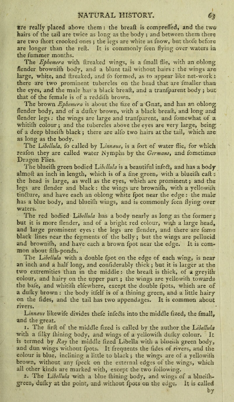 I tCfe i’cally placed above them: the breaft is comprefied, and the two hairs of the tail are twice as long as the body ; and between them there are two fiiort crooked ones ; the legs are white as fnow, but thofe before are longer than the reft. It is commonly feen flying over waters in the fummer months. The Ephemera with ftreaked wings, is a fmall file, with an oblong flender brownilh body, and a blunt tail without hairs: the wings are large, white, and ftreaked, and fo formed, as to appear like net-work; there are two prominent tubercles on the head that ^re fmaller than the eyes, and the male has a black breaft, and a tranfparent body } but that of the female is of a reddifti brown. The brown Ephemera is about the lize of a Gnat, and has an oblong flender body, and of a duiky brown, with a black breaft, and long and flender legs: the wings are large and tranfparent, and lomewhat of a whitifti colour ; and the tubercles above the eyes are very large, being of a deep blueifh black ; there are alfo two hairs at the tail, which are as long as the body. The luibellulay fo called by l^innam^ is a fort of water flie, for which reafon they are called water Nymphs by the Germans^ and fometimes Dragon Flies. The blueifh green bodied \J.hcllula is a beautiful infed, and has a body almoft an inch in length, which is of a fine green, with a blueifh call j the head is large, as well as the eyes, whieh are prominent j and the legs are flender and black: the wings are brownifh, with a yellowifh tincture, and have each an oblong white fpot near the edge: the maler has a blue body, and blueifh wings, and is commonly feen flying over waters. The red bodied \Jhellula has a body nearly as long as the former % but it is more flender, and of a bright red colour, wuth a large head, and large prominent eyes; the legs are flender, and there are fame black lines near the fegments of the belly; but the wings are pellucid and brownifh, and have each a brown fpot near the edge. It is com- mon about fifh-ponds. The \Jhellula with a double fpot on the edge of each wing, is near an inch and a half long, and confiderably thick; but it is larger at the two extremities than in the middle: the breaft is thick, of a greyifli colour, and hairy on the upper part; the wings are yellowifh towards the bafe, and whitifh elfewhere, except the double fpots, whieh are of a dufky brown ; the body itfelf is of a fhining green, and a little hairy on the fides, and the tail has two appendages. It is common about rivers. luinnaus likewife divides thefe infeds into the middle frzed, the fmall, and the great. 1. The firft of the middle fized is called by the author the luihellula with a filky fhining body, and wings of a yellowifh dufky colour. It is ternied by Ray the middle fized Libella with a bluelih green body, and dun wings without fpotsv It frequents the fides of rivers, and the colour is blue, inclining a little to black; the wings are of a yellowifh brown, without any fpeck on the external edges of the wings, which all other kinds are marked with, except the two following. 2. The luibellula with a blue fhining body, and wings of a blueifh- green, dufky at the point, and without fpots on the edge. It is called by