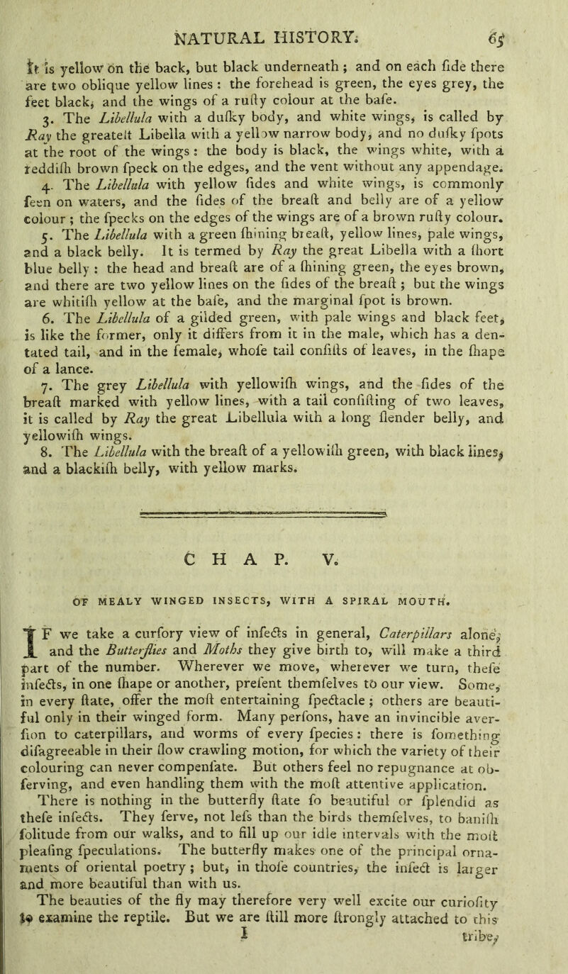 it is yellow bn the back, but black underneath ; and on each fide there are two oblique yellow lines : the forehead is green, the eyes grey, the feet blacky and the wings of a rufty colour at the bafe. 3. The Libellula with a dulky body, and white wings* is called by i?<2V the greatest Libeila with a yellow narrow body* and no dulky fpots at the root of the wings : the body is black, the wings white, with a teddifli brown fpeck on the edges, and the vent without any appendage. 4. The Libellula with yellow fides and white wings, is commonly feen on waters, and the fides of the bread; and belly are of a yellow colour ; the fpecks on the edges of the wings are of a brown ruily colour. 5. The Libellula with a green fhining bread:, yellow lines, pale wings* and a black belly. It is termed by Ray the great Libeila with a Ihort blue belly : the head and bread; are of a Ihining green, the eyes brown* and there are two yellow lines on the fides of the bread:; but the wings are whitilli yellow at the bafe, and the marginal fpot is brown. 6. The Libellula of a gilded green, with pale wings and black feet* is like the former, only it differs from it in the male, which has a den- tated tail, and in the female* whofe tail confiils of leaves, in the fhape of a lance. 7. The grey Libellula with yellowdfh wings, and the fides of the breaft marked with yellow lines, with a tail confiding of two leaves* it is called by Ray the great Libellula with a long flender belly, and yellowifh wings. 8. The Libellula with the bread; of a yellowifh green, with black lines^ and a blackifh belly, with yellow marks. CHAP. V. OT MEALY WINGED INSECTS, WITH A SPIRAL MOUTH. T F we take a cnrfory view of infers in general. Caterpillars alone* i and the Butterjiies and Moths they give birth to, will make a third i part of the number. Wherever we move, wherever we turn, thefe ' infedts, in one fhape or another, prefent themfelves to our view. Some* in every date, offer the mod entertaining fpedlacle; others are beauti- ful only in their winged form. Many perfons, have an invincible aver- I fion to caterpillars, and worms of every fpecies: there is fomething difagreeable in their flow crawling motion, for which the variety of their colouring can never compenfate. But others feel no repugnance at ob- ferving, and even handling them with the mod attentive application. There is nothing in the butterfly date fo beautiful or fplendid as thefe infedls. They ferve, not lefs than the birds themfelves, to banifli folitude from oUr walks, and to fill up our idle intervals with the mod pleafmg fpeculations. The butterfly makes one of the principal orna- ments of oriental poetry; but, in thofe countries, the infed is larger I and more beautiful than with us. I The beauties of the fly may therefore very well excite our curiofity examine the reptile. But we are dill more drongly attached to this I tribey