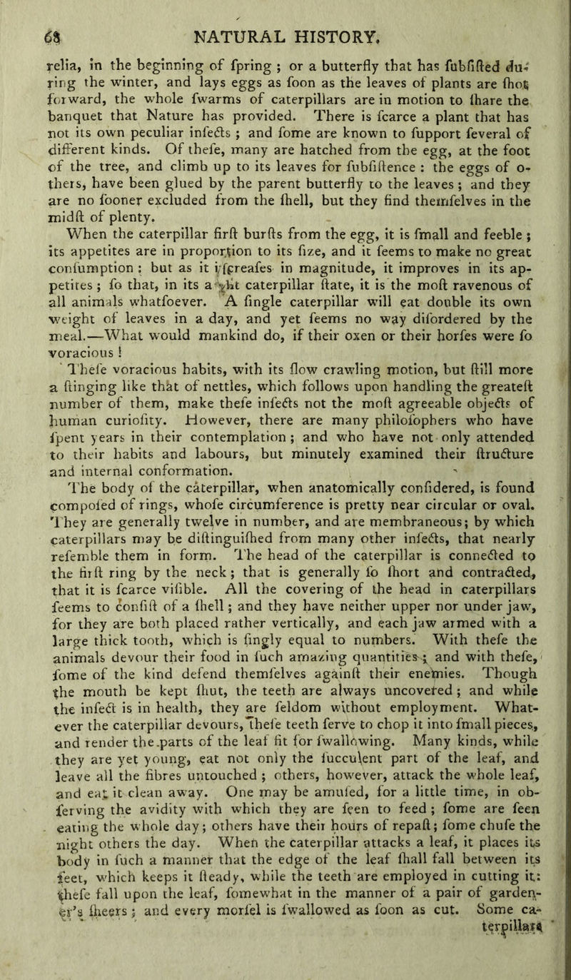 relia, in the beginning of fpring ; or a butterfly that has fubfifled dii4 ring the winter, and lays eggs as foon as the leaves of plants are fholj forward, the whole fwarms of caterpillars are in motion to lhare the banquet that Nature has provided. There is fcarce a plant that has not its own peculiar infe(fl;s ; and fome are known to fupport feveral of diflcrent kinds. Of thefe, many are hatched from the egg, at the foot of the tree, and climb up to its leaves for fubfiftence : the eggs of o- thers, have been glued by the parent butterfly to the leaves; and they are no fooner excluded from the fhell, but they find themfelves in the midft of plenty. When the caterpillar firft burfts from the egg, it is fmall and feeble ; its appetites are in propor,tion to its fize, and it feems to make no great confumption : but as it yfpreafes in magnitude, it improves in its ap- petites ; fo that, in its caterpillar ftate, it is the moft ravenous of all animals whatfoever. A Angle caterpillar will eat double its own weight of leaves in a day, and yet feems no wuy difordered by the meal.—What would mankind do, if their oxen or their horfes were fo voracious! ' I'hefe voracious habits, with its flow crawling motion, but ftill more a flinging like that of nettles, which follows upon handling the greateft number of them, make thefe infects not the mofl agreeable objedls of human curiofity. However, there are many philofophers w’ho have fpent years in their contemplation; and who have not only attended to their habits and labours, but minutely examined their ftrudure and internal conformation. The body of the caterpillar, when anatomically confidered, is found compoled of rings, whofe circumference is pretty near circular or oval. 'I hey are generally twelve in number, and are membraneous; by which caterpillars may be diflinguifhed from many other infeifls, that nearly refemble them in forrn. The head of the caterpillar is conneded to the liifl ring by the neck; that is generally fo fliort and contracted, that it is fcarce vifible. All the covering of the head in caterpillars feems to confift of a fhell; and they have neither upper nor under jaw, for they are both placed rather vertically, and each jaw armed with a large tliick tooth, which is fingly equal to numbers. With thefe the animals devour their food in fuch ama/ing quantities^ and with thefe, fome of the kind defend themfelves againft their enefnies. Though the mouth be kept fliut, the teeth are always uncovered ; and while the infeCt is in health, they are feldom without employment. What- ever the caterpillar devours,Thefe teeth ferve to chop it into fmall pieces., and render the.parts of the leaf fit for fwallcwing. Many kinds, while they are yet young, eat not only the fuccu\ent part of the leaf, and leave all the fibres untouched ; others, how^ever, attack the whole leaf, and ea], it clean away. One may be amufed, for a little time, in ob- ferving the avidity with which they are fcen to feed ; fome are feen eating the whole day; others have their hours of repafl; fome chufe the night others the day. When the caterpillar attacks a leaf, it places its body in fuch a manner that the edge of the leaf fhall fall between its jfeet, which keeps it fleady, while the teeth are employed in cutting it; l^hefe fall upon the leaf, fomewhat in the manner of a pair of gardert- flieers j and every morfel is fwallowed as foon as cut. Some ca- ter^iUaf^i
