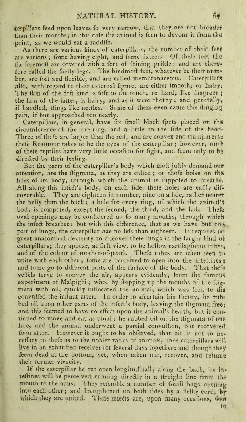 terpillars feed upon leaves fo very narrow, that they are not hroadi^f than their mouths; in this cafe the animal i^ feen to devour it frorn th^ point, as we would eat a raddilh. As there are various kinds of'caterpillars, the number of their are various ; fome having eight, and Ibme lixteen. Of thefe feet th^ fix foremoft are covered with a fort of fhining griftle ; and are therg- foie called the flielly legs. The hindmoft feet, whatever be their nuftis ber, are foft and flexible, and are called membranaceous. Caterpillars alfo, with regard to their external figure, are either fmooth, or hairy* The fkin of the firft kind is foft to the touch, or hard, like fhagregfl i the fkin of the latter, is hairy, and as it w^ere thorny ; and generally^ if handled, flings like nettles. Some of them even caufe this flinging pain, if but approached too nearly. Caterpillars, in general, have fix fmall black fpots placed ori tjfl8 circumference of the fore ring, and a little to the fide of the head* Three of thefe are larger than the refl, and are convex and ttanfparenti thefe Reaumur takes to be the eyes of the caterpillar ; however, riiolli of thefe reptiles have very little occafion for fight, and feem only to be directed by their feeling- But the parts of the caterpillar’s body which mod juflly demand olif attention, are the ftigmata, as they are called ; or thofe holes on th§ fides of its body, through which the animal is fuppofed to breathe* All along this infed’s body, on each fide, thefe holes are eafily dif- coverable. They are eighteen in number, nine on a fide, rather neafef the belly than the back ; a hole for every ring, of w'hich the animal’s body is compofed, except the fecond, the third, and the laft. Thgfg oval openings may be confidered as fo many mouths, through which the infed breathes ; but with this difference, that as we have blif' ofl^,. pair of lungs, the caterpillar has no lefs than eighteen. It requires iirif great anatomiical dexterity to difcover thefe lungs in the larger kind bf caterpillars; they appear, at firft view, to be hollow cartilaginous tubesj and of the colour of mother-of-pearl. Thefe tubes are often feen tfi unite with each other ; fome are perceived to open into the inteftinCs j and fome go to different parts of the furface of the body. That thefii veffels ferve to convey the air, appears evidently, from the famous experiment of Malpighi; who, by flopping up the miouths of the ftig- mata with oil, quickly fuffocated the animal, which was feen to dig convulfed the inftant after. In order to afcertain his theory, he rubi bed (ftl upon other parts of the infed’s body, leaving the ftigmata free; and this feemed to have no effed upon the animal’s health, but it con- tinued to move and eat as ufual: he rubbed oil on the ftigmatU of oiii fide, and the animal underwent a partial convulfion, but recovereci foon after. However it ought to be obferved, that air is not fo He; ceffary to thefe as to the nobler ranks of animals, fince caterpillars Wilt live in an exhaufted receiver for feveral days together; and though thgy^ feem dead at the bottom, yet, when taken out, recover, and refumi^ their former vivacity. If the caterpillar be cut open longitudinally along the back, its in* teftines will be perceived running diredly in a ftraight line from Ih^ mouth to the anus. I'hey refemble a number of fmall bags opeUihg into each other; and ftrengthened on both fides by a flelhy cord; by ^hich they are united. Thefe infects are, upon many occafions, feefl ttl