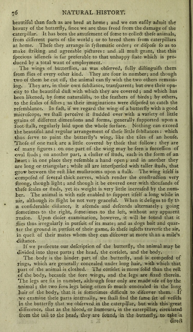 beautiful than fuch as are bred at home ; and we can eafily admit thtf beauty of the butterfly, fmce we are thus freed from the damage of the caterpillar. It has been the amufement of fome to colled! thefe animals, from different parts of the world ; or to breed them from caterpillars at home. Thefe they arrange in fyftematic order; or difpofe fo as to make ftriking and agreeable pidlures: and all muft grant, that this fpecious idlenefs is far preferable to that unhappy ftate which is pro- duced by a total want of employment. The wings of butterflies, as was obferved, fully diftinguifh them from flies of every other kind. They are four in number; and though two of them be cut off, the animal can fly with the two others remain- ing. They are, in their own fubftance, tranfparent; but owe their opa- city to the beautiful dull w'ith which they are covered ; and which has been likened, by fome naturalifts, to the feathers of birds ; by others, to the fcales of fifhes; as their imaginations were difpofed to catch the xefemblance. In fadl, if we regard the wing of a butterfly with a good microfcope, we (hall perceive it ftudded over with a variety of little grains of different dimenfions and forms, generally fupported upon a foot-ftalk, regularly laid upon the whole furface. Nothing can exceed the beautiful and regular arrangement of thefe little fubftances ; which thus ferve to paint the butterfly’s wing, like the tiles of an houfe. Thofe of one rank are a little covered by thofe that follow : they are of many figures: on one part of the wing may be feen a fucceffion of oval ftuds; on another part, a clufter of Ituds, each in the form of an heart: ill one place they refemble a hand open ; and in another they are long or triangular; while all are interfperfed with taller ftuds, that grow between the reft dike muflirooms upon a ftalk. The wing itfelf is compofed of feveral thick nerves, which render the conftrudion very flrong, though light; and though it be covered over with thoufands of thefe fcales or ftuds, yet its weight is very little increafed by the num- ber. The animal is with eafe enabled to fupport itfelf a long while in air, although its flight be not very graceful. When it defigns to fly to a confiderable diftance, it afeends and defeends alternately ; going fometimes to the right, fomeiimes to the left, without any appaient reafon. Upon clofer examination, however, it will be found that it flies thus irregularly in purfuit of its mate; and as dogs bait and quar- ter the ground in purfuit of their game, fo thefe iqfeds traverfe the air, in quell of their mates whom they can difeover at more than a mile’s <liftance. If we profecute our defeription of the butterfly, the animal may be divided into thfee parts ; the head, the corfelet, and the body. The body is the hinder part of the butterfly, and is compofed of tings, which are generally concealed under long hair, with which that part of the animal is clothed. The corfelet is more folid than the reft of the body, becaufe the fore wings, and the legs are fixed therein. The legs are fix in number, although four only are made ufe of by the Minimal; the two fore legs being often fo much concealed in the long bair of the body, that it is fometimes difficult to difeover them. If we examine thele parts internally, we fhall find the fame fet of veftels in the butterfly that we obferved in the caterpillar, but with this great diffeience, that as the blood, or humours, in the caterpillar, circulated from th^ mil to the head, they are found, in the butterfly, to take