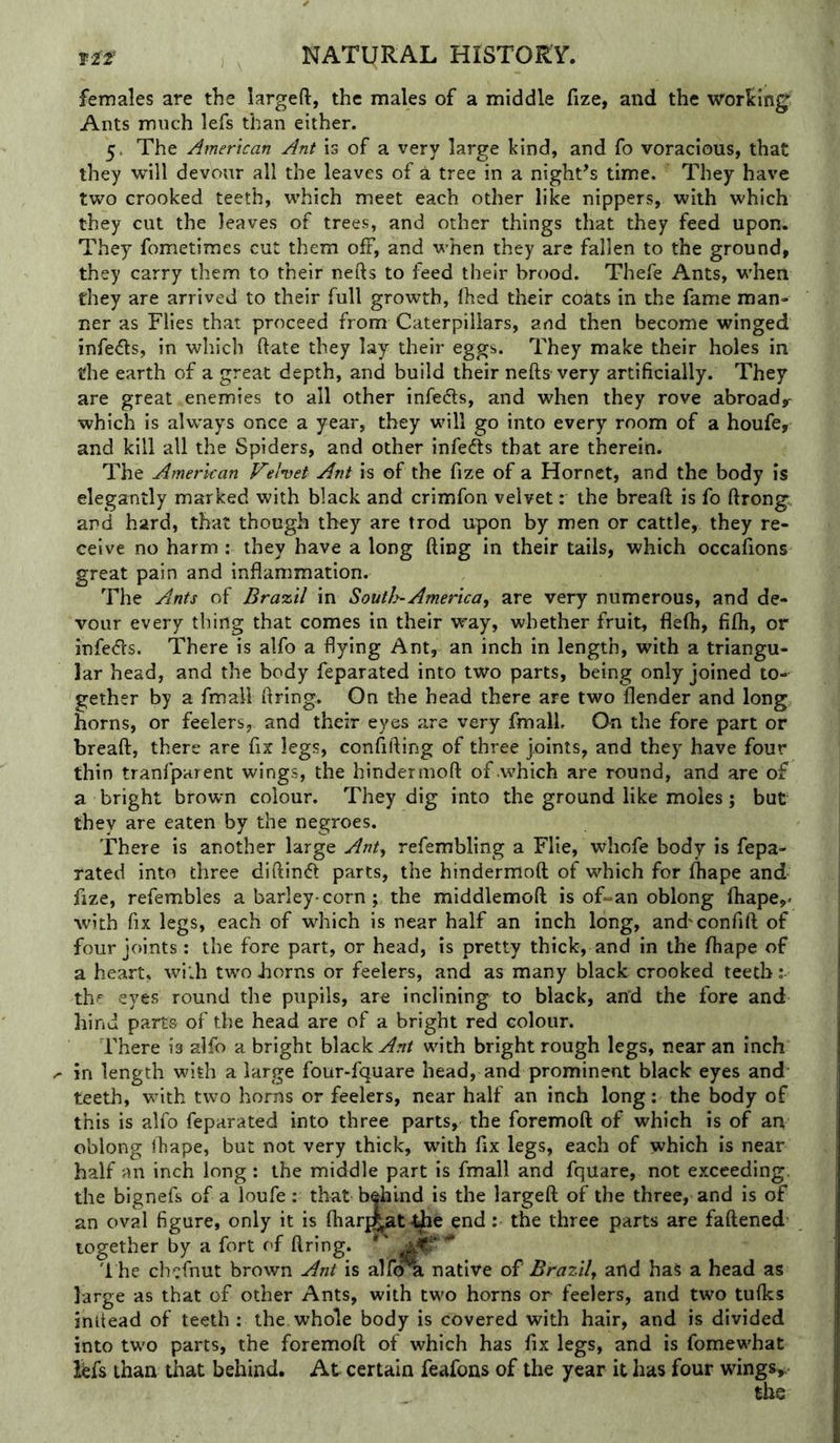 females are the largeft, the males of a middle fize, and the worlcing' Ants much lefs than either. 5. The American Ant is of a very large kind, and fo voracious, that they will devour all the leaves of a tree in a night^s time. They have two crooked teeth, which meet each other like nippers, with which they cut the leaves of trees, and other things that they feed upon. They fometiraes cut them off, and when they are fallen to the ground, they carry them to their nefts to feed their brood. Thefe Ants, when they are arrived to their full growth, Ihed their coats in the fame man- ner as Flies that proceed from Caterpillars, and then become winged infe<5ls, in which ftate they lay their eggs. They make their holes in the earth of a great depth, and build their nefts very artificially. They are great enemies to all other infeds, and when they rove abroad^ which is always once a year, they will go into every room of a houfe, and kill all the Spiders, and other infeds that are therein. The American Velvet Ant is of the fize of a Hornet, and the body is elegantly marked with black and crimfon velvet: the breaft is fo ftrong: and hard, that though they are trod upon by men or cattle, they re- ceive no harm: they have a long fting in their tails, which occafions great pain and inflammation. The Ants of Bra%il in South-America, are very numerous, and de- vour every thing that comes in their way, whether fruit, flelh, fifli, or infeds. There is alfo a flying Ant, an inch in length, with a triangu- lar head, and the body feparated into two parts, being only joined to- gether by a fmali firing. On the head there are two flender and long horns, or feelers, and their eyes are very finalh On the fore part or breaft, there are fix legs, confifting of three joints, and they have four thin tranfparent wings, the hindermoft of .which are round, and are of a bright brown colour. They dig into the ground like moles; but they are eaten by the negroes. There is another large Ant, refembling a Flie, whofe body is fepa- rated into three diftind parts, the hindermoft of which for fliape and- fize, refembles a barley-corn; the middlemoft is of-an oblong ftiape,- with fix legs, each of which is near half an inch long, and'confift of four joints: the fore part, or head, is pretty thick, and in the fliape of a heart, wi:h two horns or feelers, and as many black crooked teeth; th' eyes round the pupils, are inclining to black, and the fore and hind parts of the head are of a bright red colour. There is allb a bright black Ant with bright rough legs, near an inch ^ in length with a large four-fquare head, and prominent black eyes and teeth, with two horns or feelers, near half an inch long: the body of this is alfo feparated into three parts, the foremoft of which is of art oblong Ihape, but not very thick, with fix legs, each of which is near half an inch long : the middle part is fmali and fquare, not exceeding the bignefs of a loufe: that behind is the largeft of the three, and is of an oval figure, only it is fliarj|^t 4^e end: the three parts are faftened together by a fort of firing. *' * I he chcfnut brown Ant is alfira native oi' Brazil, and has a head as large as that of other Ants, with two horns or feelers, and two tulks inltead of teeth ; the whole body is covered with hair, and is divided into two parts, the foremoft of which has fix legs, and is fomewhat fefs than that behind. At certain feafons of the year it has four wings,, the