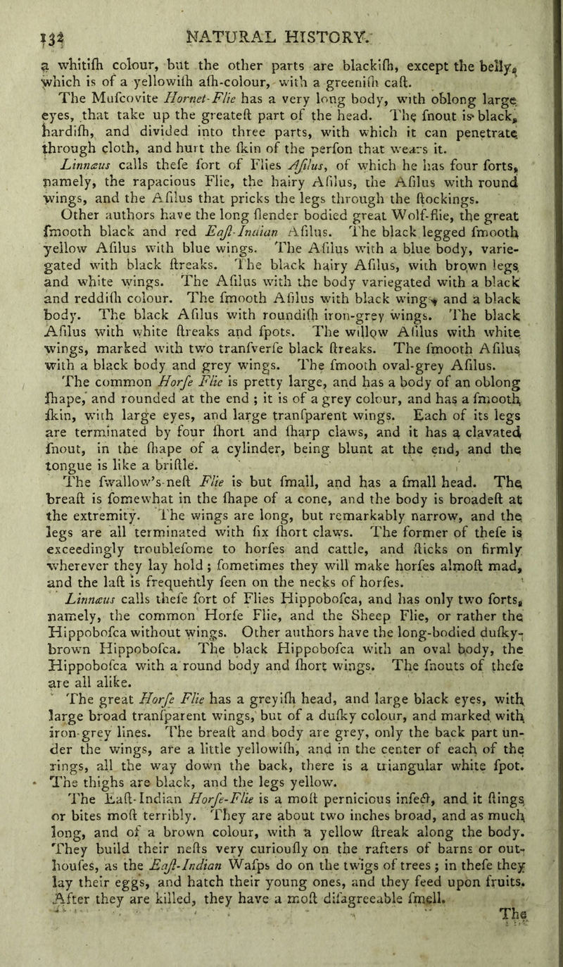^ whitifh colour, but the other parts are blackifii, except the belljr* ■^hich is of a yellowilh afh-colour, with a greeniQi caft. The Mufcovite Hornet-Flie has a very long body, with oblong large eyes, that take up the greateft part of the head. The fnout is* black, hardifh, and divided into three parts, with which it can penetrate through cloth, and hurt the ficin of the perfon that w'ears it. Ltnnaus calls thefe fort of Flies Ajilus^ of which he has four forts, pamely, the rapacious Flie, the hairy Afilus, the Afilus with round wings, and the Afilus that pricks the legs through the (lockings. Other authors have the long (lender bodied great Wolf-flie, the great fmooth black and red Eajl-Indian Afilus. The black legged fmooth yellow Afilus with blue wings. The Afilus with a blue body, varie- gated wdth black ftreaks. The black hairy Afilus, with brown legs, and white wings. The Afilus with the body variegated with a black and reddidi colour. The fmooth Afilus with black wdng and a black body. The black Afilus with roundifii iron-grey wings. The black Afilus with white (freaks and fpots. The wfilgw Afilus with white wings, marked with two tranfverfe black (freaks. The fmooth Afilus, with a black body and grey wings. The fmooth oval-grey Afilus. The common Horfe File is pretty large, and has a body of an oblong fhape, and rounded at the end ; it is of a grey colour, and has a fmooth, ikin, with large eyes, and large tranfparent wings. Each of its legs are terminated by four (hort and (harp claws, and it has a clavated fnout, in the (hape of a cylinder, being blunt at the end, and the tongue is like a briftle. , The fwallov/’s ne(f Flie is^ but fmall, and has a fmall head. The brea(f is fomewhat in the fhape of a cone, and the body is broade(f at the extremity. The wings are long, but remarkably narrow, and the, legs are all terminated with fix fhort claws. The former pf thefe is exceedingly troublefome to horfes and cattle, and (ficks on firmly wherever they lay hold; fometimes they will make horfes almo(t mad, and the la(f is frequently feen on the necks of horfes. Linnaus calls thefe fort of Flies Hippobofca, and has only two forts, namely, the common Horfe Flie, and the Sheep Flie, or rather the Hippobofca without wings. Other authors have the long-bodied duficy- brown Hippobofca. The black Hippobofca with an oval body, the Hippobofca with a round body arid fhort wings. The fnouts of thefe me all alike. The great Horfe Flie has a greyifh head, and large black eyes, with large broad tranfparent wings, but of a dufky colour, and marked with, iron-grey lines. The breaft and body are grey, only the back part un- der the wings, are a little yellowilh, and in the center of each of the rings, all the way down the back, there is a triangular white fpot. The thighs are black, and the legs yellow. The Eafi-Indian Horfe-Flie is a mo(t pernicious infe^, and it fiing% or bites moft terribly. They are about two inches broad, and as much long, and of a brown colour, with a yellow (Ireak along the body. They build their nefts very curioufly on the rafters of barns or out- houfes, as the EaJlHndian Wafps do on the twigs of trees ; in thefe they lay their eggs, and hatch their young ones, and they feed upon fruits. After they are killed, they have a mod difagreeable fm^ill. The
