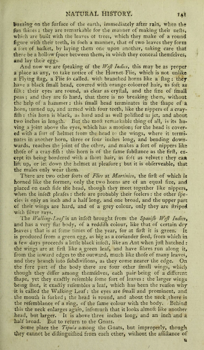 i(4l buzzing on the furface of the earth, immediately after rain, when the fun dunes : they are remarkable for the manner of making their neds^ which are built with the leaves ot trees, which they make of a round figure with their teeth, in fnch a manner, that of two leaves they form a fort of balket, by laying them one upon another, taking care that there be a hollow fpace between them, in which they conceal themfelves, and lay their eggs. And now we are fpeaking of the Wejl Indies, this may be as proper a place as any, to take notice of the Hornet-File, which is not unlike a Flying ftag, a Fiie lo called, with branched horns like a dag: they have a black fmall head, covered with orange-coloured hair, as foft as filk: their eyes are round, as clear as crydal, and the fize of fmall peas ; and they are fo hard, that there is no breaking them, without the help of a hammer : this fmall head terminates in the fhape of A horn, turned up, and armed with four teeth, like the nippers of a cray- fifh : this hotn is black, as hard and as well polidied as jet, and about two inches in length. But the mod remaikable thing of all, is its ha- ving a joint above the eyes, which has a motion; for the head is cover- ed with a fort of helmet from* the head to the wings, where it termi- nates in another horn, three or four inches long, and bending down- wards, reaches the joint of the other, and makes a fort of nippers like thofe of a cray-fidi: this horn is of the fame fubdance as the fird, ex- cept its being bordered with a fhort hair, as foft as velvet: they caa lift up, or let down the helmet at pleafure ; but it is obferveable, that the males only wear them. There are two other forts of Flies at Martimeo, the fird of which is horned like the former, only the two horns are of an equal fize, and placed on each fide the head, though they meet together like nippers, when the infed pleafes: thefe are probably their feelers : the other fpe- cies is only an inch and a half long, and one broad, and the upper part of their wings are hard, and of a grey colour, only they are driped with diver rays. The Walking-Leaf IS an infefl brought from the Spani/h Wejl Indies^ and has a very flat body, of a reddifh colour, like that of certain dry leaves ; that is at feme times of the year, for at fird it is ,green. It is produced from a green egg, as big as a coriander feed, from which iri a few days proceeds a little black infedt, like an Ant when jud hatched r the wings are at fird like a green leaf, and have fibres run along it, from the inward edges to the outward, much like thofe of many leaves, and they branch into fubdivifions, as they come nearer the edge. On the fore part of the body there are four other fmall wings, which though they differ among themfelves, each pair being of a different fhape, yet they exa<5tly refemble fome fort of leaves ; the larger wings being fhut, it exactly refembles a leal, which has been the reafon why it is called the Walking Leaf: the eyes aie fmall and prominent, and the mouth is forked ; the head is round, and about the neck there is the refemblance of a ring, of the fame colour with the body. Behind this the neck enlarges again, infomuch that it looks almod like another head, but larger. It is above three inches long, and an inch and a half broad. But to return to the Gnats. Some place the Tipnla among the Gnats, but improperly, though they cannot be didinguifiied from each other, without the afiidance of
