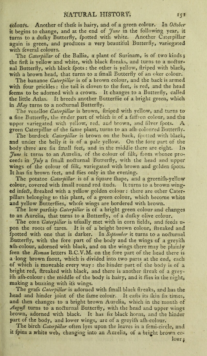 ^bloufs. Another of thefe is hairy, and of a green colour. In Odoher h begins to change, and at the end of June in the following year, ic turns to a dufky Butterfly, fpotted with white. Another Caterpillar again is green, and produces a very beautiful Butterfly, variegated with feveral colours. The Caterpillar of the Ballia, a plant of Surinam, is of two kinds ; the firft is yellow and white, with black ftreaks, and turns to a noctur- nal Butterfly, with black fpots: the other is yellow, ftriped with black, with a brown head, that turns to a fmall Butterfly of an oker colour. The bananoe Caterpillar is of a brown colour, and the back is armed with four prickles: the tail is cloven to the feet, is red, and the head feems to be adorned with a crown. It changes to a Butterfly, called the little Atlas. It breeds another Butterflie of a bright green, which rn May turns to a noClurnal Butterfly. The venelloe Caterpillar is brown, ftriped with yellow, and turns ta a fine Butterfly, the under part of which is of a faffron colour, and the upper variegated with yellow, red, and brown, and filver fpots. A green Caterpillar of the fame plant, turns- to an afti^ coloured Butterfly. The burdock Caterpillar is brown on the back, fpotted with black, and under the belly it is of a pale yellow. On the fore part of the body there are fix fmall feet, and in the middle there are eight. In June it turns to an Aurelia, of the colour of filk, from whence pro- ceeds in July a fmall noCturnal Butterfly, with the head and upper wings of the colour of filk,- variegated with brown and golden fpots. It has fix brown feet, and flies only in the evening. The potatoe Caterpillar is of a fquare ftiape, and a greenifti-yellow colour, covered with fmall round red Ituds. It turns to a brown wing- ed infeCf, ftreaked with a yellow golden colour: there are other Cater- pillars belonging to this plant, of a green colour, which become white and yellow Butterflies, whofe wings are bordered with brown. The low parfnip Caterpillar is of a bright green colour and changes to an Aurelia, that turns to a Butterfly, of a dufky olive colour. The corn Caterpillar is ufually met with in corn fields, and feeds u- pon the roots of tares. It is of a bright brown colour, ftreaked and fpotted with one that is darker. In September it turns to a no6lurnal Butterfly, with the fore part of the body and the wings of a greyifli afti-colour, adorned with black, and on the wings there may be plainly feen the Roman letters B.C.V.M. on the fore part of the head there is a long brown fnout, which is divided into two parts at the end, each of which is moveable every way: the hinder part of the body is of a bright red, ftreaked with black, and there is another ftreak of a grey- ifh afh-colour: the middle of the body is hairy, and it flies in the night, making a buzzing with it’s wings. The grafs Caterpillar is adorned with fmall black ftreaks, and has the head and hinder joint of the fame colour. It cafts its Ikin fix times, and then changes to a bright brown Aurelia, which in the month of Auguji turns to a nocturnal Butterfly, with the head and upper wings brown, adorned with black. It has fix black horns, and the hinder part of the body, and lower wings, are of a greyifh afh-colour. The birch Caterpillar often lyes upon the leaves in a femi-circle, and it fpins a white web, changing into an Aurelia, of a blight brown co* lour ^