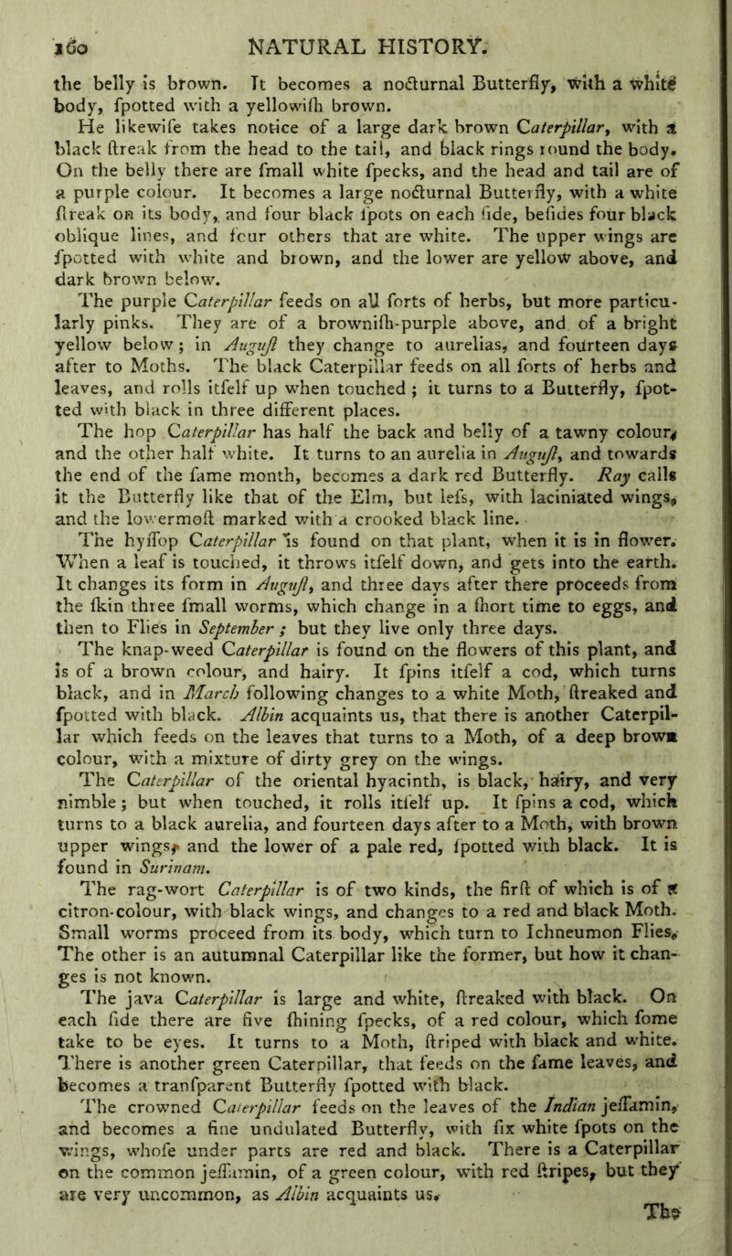 the belly is brown. It becomes a nocturnal Butterfly, with a whit^ body, fpotted with a yellowifh brown. He likewife takes notice of a large dark brown Qaterpillarf with a black ftreak from the head to the tail, and black rings round the body. On the belly there are fmall white fpecks, and the head and tail are of a purple colour. It becomes a large noiflurnal Butterfly, with a white ftreak on its body,, and four black fpots on each fide, befides four black oblique lines, and four others that are white. The upper wings arc fpotted with white and brown, and the lower are yellow above, and dark brown below. The purple Caterpillar feeds on all forts of herbs, but more particu- larly pinks. They are of a brownilh-purple above, and of a bright yellow below; in Augujl they change to aurelias, and fourteen days after to Moths. The black Caterpillar feeds on all forts of herbs and leaves, and rolls itfelf up when touched ; it turns to a Butterfly, fpot- ted with black in three different places. The hop Caterpillar has half the back and belly of a tawny colour# and the other half white. It turns to an aurelia in Augujly and towards the end of the fame month, becomes a dark red Butterfly. Ray calls it the Butterfly like that of the Elm, but lefs, with laciniated wings, and the lov. ermoft marked with a crooked black line. The hyiTop Caterpillar 'is found on that plant, when it is in flower. When a leaf is touched, it throws itfelf down, and gets into the earth. It changes its form in Auguji^ and three days after there proceeds from the fkin three fmall worms, which change in a fliort time to eggs, and then to Flies in September / but they live only three days. The knap-weed Caterpillar is found on the flowers of this plant, and Is of a brown colour, and hairy. It fpins itfelf a cod, which turns black, and in March following changes to a white Moth, ftreaked and fpotted with bUck. Alhin acquaints us, that there is another Caterpil- lar which feeds on the leaves that turns to a Moth, of a deep browa colour, with a mixture of dirty grey on the wings. The Caterpillar of the oriental hyacinth, is black, hairy, and very nimble; but when touched, it rolls itfelf up. It fpins a cod, which turns to a black aurelia, and fourteen days after to a Moth, with brown upper wings^. and the lower of a pale red, fpotted with black. It is found in Surinam. The rag-wort Caterpillar is of two kinds, the firfl: of which is of ft citron-colour, with black wings, and changes to a red and black Moth- Small worms proceed from its body, which turn to Ichneumon Flies, The other is an autumnal Caterpillar like the former, but how it chan- ges is not known. The java Caterpillar is large and white, ftreaked with black. On each fide there are five (hining fpecks, of a red colour, which fome take to be eyes. It turns to a Moth, ftriped with black and white. There is another green Caterpillar, that feeds on the fame leaves, and becomes a tranfparent Butterfly fpotted with black. The crowned Caterpillar feeds on the leaves of the Indian jeflamin, and becomes a fine undulated Butterfly, with fix white fpots on the wings, whofe under parts are red and black. There is a Caterpillar on the common jelTamin, of a green colour, with red ftripes^ but they* are very uncommon, as Albln acquaints us#