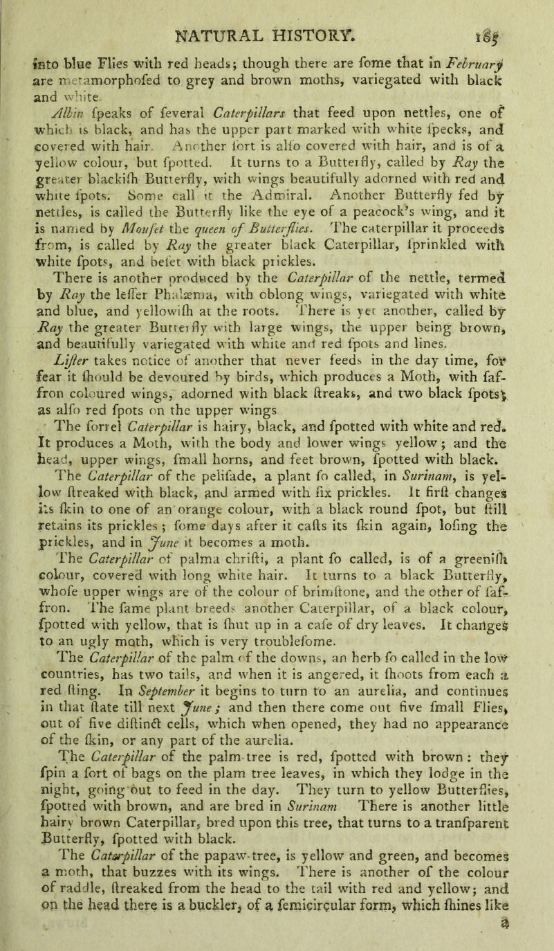 into blue Flies with red heads; though there are feme that in February are metamorphofed to grey and brown moths, variegated with black and white. Albin fpeaks of feveral Caterpillars that feed upon nettles, one of which is black, and has the upper part marked with white fpecks, and covered with hair. Another I'ort is alfo covered with hair, and is of a yellow colour, but fpotted. It turns to a Butterfly, called by Ray the greater blackifli Butterfly, with wings beautifully adorned with red and white fpots. Some call it the Admiral. Another Butterfly fed by- nettles, is called the Butterfly like the eye of a peacock’s wing, and it is nanied by Moufet the queen of BuUerjl'ies. I’he caterpillar it proceeds from, is called by Ray the greater black Caterpillar, Iprinkled with white fpots, and belet with black prickles. There is another produced by the Caterpillar of the nettle, termed by Ray the lefler Phalsema, with oblong wings, variegated with whitd and blue, and yellowifh at the roots, 'fhere is yer another, called by Ray the greater Burreifly with large wings, the upper being brown* and beautifully variegated with white and red fpots and lines. Lifter takes notice of another that never feeds in the day time, for fear it Ihould be devoured by birds, w'hich produces a Moth, with faf- fron coloured wdngs, adorned with black ftreaks, and two black fpotsV as alfo red fpots on the upper wdngs The forrel Caterpillar is hairy, black, and fpotted with white and red. It produces a Moth, with the body and lower wnngs yellow; and the head, upper wings, fmall horns, and feet brown, fpotted with black. The Caterpillar of the pelifade, a plant fo called, in Surinam^ is yel- low ftreaked vvith black, and armed wdth fix prickles. It firft changes its (kin to one of an orange colour, with a black round fpot, but ftill retains its prickles; fome days after it calls its fkin again, lofing the prickles, and in June it becomes a moth. The Caterpillar of palma chrifti, a plant fo called, is of a greenifh colour, covered with long white hair. It turns to a black Butterfly, whofe upper wings are of the colour of brim done, and the other of faf- fron. The fame plant breeds another Caterpillar, of a black colour, fpotted w'ith yellow, that is fhut up in a cafe of dry leaves. It chartge$ to an ugly moth, which is very troublefome. The Caterpillar of the palm of the downs, an herb fo called in the lo# countries, has two tails, and when it is angered, it Ihoots from each a red (ling. In September it begins to turn to an aurelia, and continues in that llate till next June; and then there come out five fmall Flies* out of five dillinfl cells, which when opened, they had no appearance of the (kin, or any part of the aurelia. The Caterpillar dt the palm-tree is red, fpotted with brown; they fpin a fort of bags on the plam tree leaves, in which they lodge in the night, going out to feed in the day. They turn to yellow Butterflies, fpotted with brown, and are bred in Surinam There is another little hairy brown Caterpillar, bred upon this tree, that turns to a tranfparent Butterfly, fpotted with black. The Caterpillar of the papaw-tree, is yellow and green, and becomes a moth, that buzzes with its wings. There is another of the colour of raddle, ftreaked from the head to the tail with red and yellow; and op the head there is a buckler* of a femicircular form, which fhines like