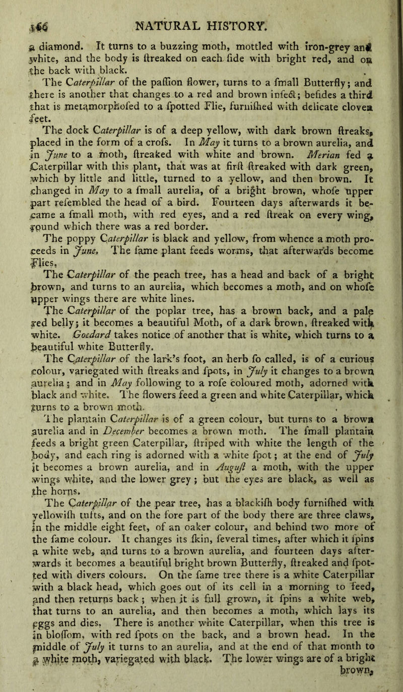 ^ diamond. It turns to a buzzing moth, mottled with iron-grey an< 5vhite, and the body is ftreaked on each fide with bright red, and oa the back with black. The Qaterpiilar of the paffion fiower, turns to a fmall Butterfly; and there is another that changes to a red and brown infecS; befides a third ,that is rneti^morpkofed to a fpotted Tlie, furniflied with delicate clovea ^eet. The dock Qaterpiilar is of a deep yellow, with dark brown ftreaks, placed in the form of a crofs. In May it turns to a brown aurelia, and in June to a moth, ftreaked with white and brown. Merian fed ^ jCaterpillar with this plant, that was at firft ftreaked with dark green, which by little and little, turned to a yellow, and then brown. It changed in May to a fmall aurelia, of a bright brown, whofe upper part refembled the head of a bird. Fourteen days afterwards it be- came a fmall moth, with red eyes, ^d a red ftreak oa every wing, rpund which there was a red border. The poppy Caterpillar is black and yellow, from whence a moth pro- ceeds in Junef The fame plant feeds v^rorms, that afterwards become pies, The Qaterpiilar of the peach tree, has a head and back of a bright jbrown, and turns to an aurelia, which becomes a moth, and on whofe lipper wings there are white lines. The Caterpillar of the poplar tree, has a brown back, and a pale red belly ; it becoines a beautiful Moth, of a dark brown, ftreaked with white. Goedard takes notice of another that is white, which turns to a jpeautiful white Butterfly. The Qjiterpillar of the lark’s foot, an herb fo called, is of a curious colour, variegated with ftreaks and fpots, in July it changes to a brown aurelia j and in May following to a rofe coloured moth, adorned with black and white. The flowers feed a green and white Caterpillar, which ^urns to a brown motin The plantain Qaterpiilar \s of a green colour, but turns to a browa ^aurelia and in December becomes a brown moth. The fmall plantain feeds a bright green Caterpillar, ftriped with white the length of the body, and each ring is adorned with a white fpot; at the end of July It becomes a brown aurelia, and in Augujl a moth, with the upper wings white, and die lower grey; but the eyes are black, as well as the horns. The Caterpillar of the pear tree, has a blackifh body furniflied with yellowilh tufts, and on the fore part of the body there are three claws, in the middle eight feet, of an oaker colour, and behind two more of the fame colour. It changes its ikin, feveral times, after which it fpins a white web, and turns to a brown aurelia, and fourteen days after- wards it becomes a beautiful bright brown Butterfly, ftreaked and fpot- ted with divers colours. On the fame tree there is a white Caterpillar with a black head, which goes out of its cell in a morning to Teed, and then returns back; when it is full grown, it fpins a white web, that turns to an aurelia, and then becomes a moth, which lays its pggs and dies. There is another white Caterpillar, when this tree is in blolTom, with red fpots on the back, and a brown head. In the pniddle of July it turns to an aurelia, and at the end of that month to ^ .yyhite moth, variegated with black* The low£r wings are of a bright brown.