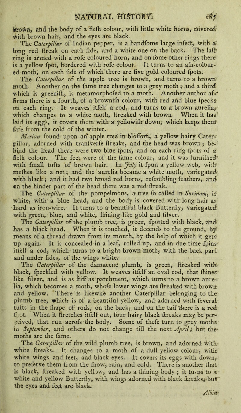 NATORAL HlgTdRr,' f#' tlie body of a'flefh colour, with little white hofns^ doVered' xvith brown hair, and the eyes are black. The Caterpillsir of Indian pepper, is a handfome large infedl, Svith a long red ftreak on each fide, and a white one on the back. The laft^ ring is arnled with a rofe coloured horn, and onfome other rings there is a yellow fpot, bordered with rofe colour. It turns to an aOi-colour- ed moth, on each fide of which there are five gold coloured fpots. The Caterpillar of the apple tree is brown, and turns to a brown^ moth Another on the fame tree changes to a grey moth ; and a third which is greenifh, is metamorphofed to a moth. Another author af»^ firms there is a fourth, of a brownilh colour, with red aiid blue fpecks oti each ring. It weaves itfelf a cod, and turns to a brown aurelia^> which changes to a white moth, fireaked with brown When it has' laid its eggs, it covers them with a Yellowifli downj which keeps therrl fafe from the cold of the winter. Merian found upon arf apple tree' in bloffoili, a yellow hairy Cater- pillar, adorned with tranfverfe ftreaks, and the head was brown; be- hi/id the head there were two blue fpots, and on each ring fpots of a fiefh colour. The feet were of the fame colour, and it was turnifiied- with fmall tufts of brown hair. In July it fpun a yellow web, with melhes like a net; and the aurelia became a white moth, variegated; with black ; and it had two broad red horns, refeiiibling feathers, and ©n the hinder part of the head there was a red ftreak. The Caterpillar of the pompelmous, a tree fo called in is white, with a blue head, and the body is covered with' long hair as' hard as iron-wire. It turns to a beautiful black Butterfly, variegated with green, bluej and white, Ihining like gold and filver. The Caterpillar of the plumb tree, is green, fpotted v/ith black, and' has a black head. When it is touched, it decends to the ground, by- means of a thread drawn from its mouth, by the help of which it gets up again. It is concealed in a leaf, rolled up, and in due time fpins' itfelf a cod, which turns to a bright brown moth^ with the back part and under fidesj of the wings white. The Caterpillar of the damacenC plumb, is green, ftfeaked with- black, fpeckled with yellow. It weaves itfelf an oval cod, that ftiines like filver, and is as ftiff as parchment, which turns to a brown aure- lia, which becomes a moth, whofe lower wings are ftreaked with brown and yellow. There is likewife another Caterpillar belonging to the plumb tree, which is of a beautiful yellow, and adorned wuh feveral tufts in the fliape of rods, on the back,, and on the tailllrere is a red f, ot. When it ftretches itfelf out, four hairy black ftreaks m^y be per- ;?-*ived, that run acrofs the body. Some of thefe turn to grey moths in September^ and others do not change till the next April; but the- moths are the fame. The Caterpillar of the wild plumb tree, is brown, and adorned \Vith‘ white ftreaks. It changes to a moth of a dull yellow colour, \jrith white wings and feet, and black eyes. It covers its eggs with doWn, to preferve them from the fnow, rain, and cold. There is another that is black, ftreaked with yellow, and has a Ihining body ; it turi>S to a white and yellow Butterfly, with wings adorned with black ftreaks^^bu^ the eyes and feet are black. Albitf