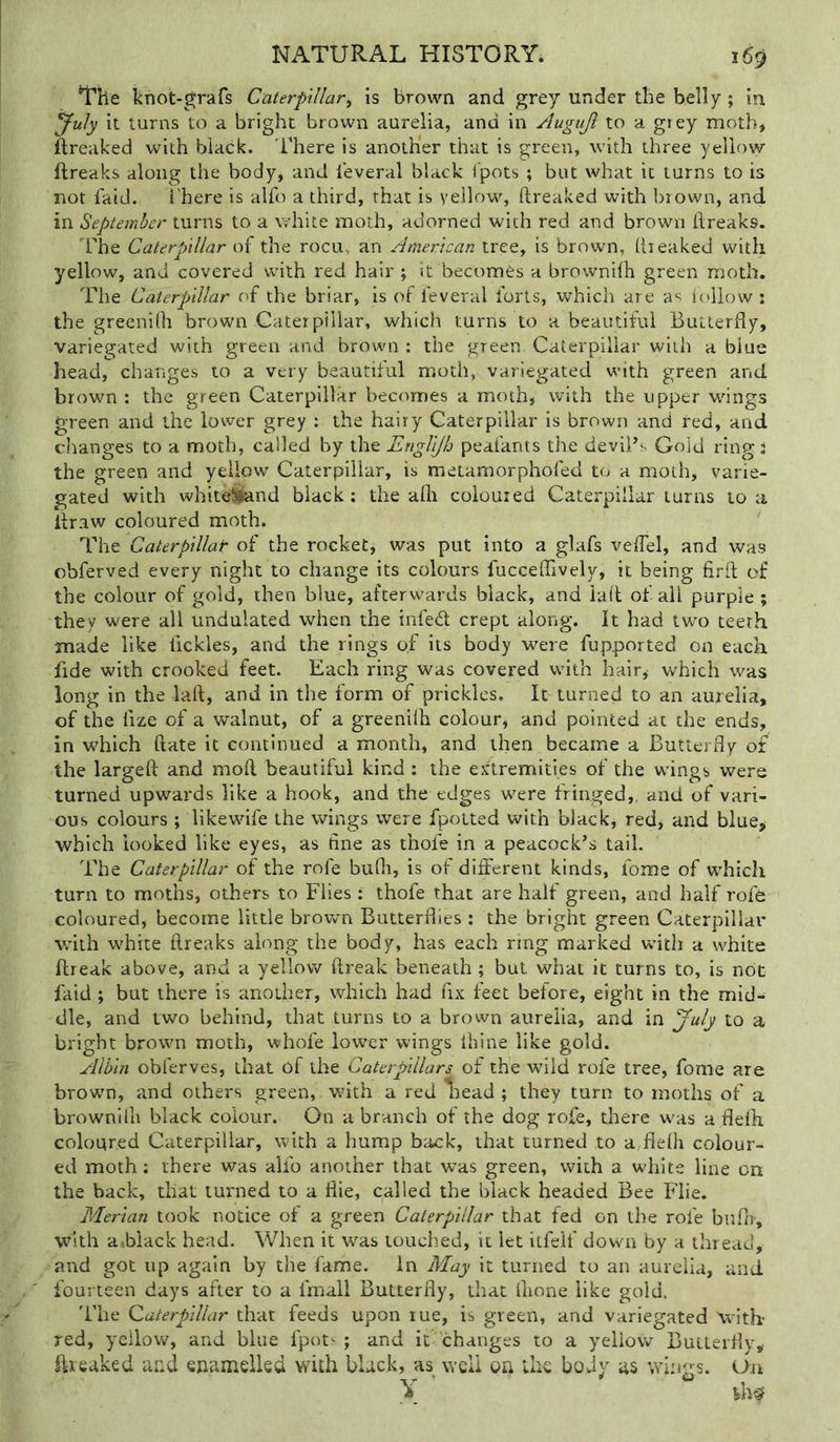 The khot-^rafs Caterpillar^ is brown and grey under the belly; in yuly it turns to a bright brown aurelia, and in Augujl to a grey moth, ftreaked with black. There is another that is green, with three yellow ftreaks along the body, and I'everal black fpots ; but what it turns to is not laid. I'here is alfo a third, that is yellow, ftreaked with brown, and in September turns to a white moth, adorned with red and brown ftreaks. The Caterpillar of the rocu., an American tree, is brown, ftreaked with yellow, and covered with red hair ; it becomes a brownilh green moth. The Caterpillar of the briar, is of feveral forts, which are as iollow : the greenifh brown Caterpillar, which turns to a beautiful Butterfly, Variegated with green and brown : the green Caterpillar with a blue head, changes to a very beautiful moth, variegated with green and brown : the green Caterpillar becomes a moth, with the upper wings green and the lower grey : the hairy Caterpillar is brown and red, and changes to a moth, called by the Englijh peafants the devil’s Gold ring: the green and yellow Caterpillar, is metamorphofed to a moth, varie- gated with whitelifend black; the afli coloured Caterpillar turns to a ftraw coloured moth. The Caterpillar of the rocket, was put into a glafs veftel, and was cbferved every night to change its colours fucceflively, it being firft of the colour of gold, then blue, afterwards black, and iaft of all purple ; they were all undulated when the infed crept along. It had two teeth made like fickles, and the rings of its body were fupported on each fide with crooked feet. Each ring was covered with hair, which was long in the laft, and in the form of prickles. It turned to an aurelia, of the fize of a walnut, of a greenilh colour, and pointed at the ends, in which ftate it continued a month, and then became a Butterfly of the largeft and moft beautiful kind : the extremities of the wings were turned upwards like a hook, and the edges were fringed,, and of vari- ous colours ; likewife the wings were fpoLted with black, red, and blue, which looked like eyes, as fine as thofe in a peacock’s tail. The Caterpillar of the rofe bufli, is of different kinds, fome of which turn to moths, others to Flies : thofe that are half green, and half rofe coloured, become little brown Butterflies : the bright green Caterpillar with white ftreaks along the body, has each ring marked with a white ftreak above, and a yellow ftreak beneath ; but what it turns to, is ndc faid ; but there is another, which had fix feet before, eight in the mid- dle, and two behind, that turns to a brown aurelia, and in July to a bright brown moth, whofe lower wings ihine like gold. Albin obferves, that of the Caterpillars of the wild rofe tree, fome are brown, and others green, with a red liead ; they turn to moths of a brownilh black colour. On a branch of the dog rofe, there was a flelh coloured Caterpillar, with a hump back, that turned to a flelh colour- ed moth; there was alfo another that was green, with a white line on the back, that turned to a flie, called the black headed Bee Flie. Merian took notice of a green Caterpillar that fed on the rofe buPn, with atbiack head. When it was touched, it let itfelf down by a thread, and got up again by the fame. In May it turned to an aurelia, and fourteen days after to a fmall Butterfly, that llione like gold. 'File Caterpillar that feeds upon rue, is green, and variegated with- red, yellow, and blue fpot^ j and it changes to a yellow Butterfly, ftreaked and enamelled with black, as well on the body us wings. Ua X