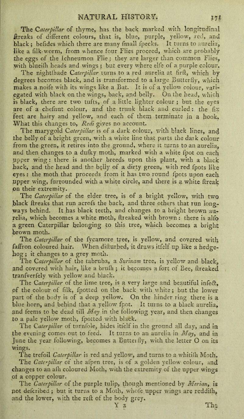 The Caterpillar of thyme, has the back marked with longitudinal Rreaks of different colours, that is, blue, purple, yellow, red, and black ; befides which there are rnany fmall fpecks. It turns to aurelia, like a filk-w'orm, from whence four Flies proceed, which are probably the eggs of the Ichneumon Flie; they are larger than common Flies, with blueifh heads and wings ; but every where elfe of a purple colour. The nightihade Caterpillar turns to a red aurelia at firft, which by degrees becomes black, and is transformed to a large Butterfly, which makes a noife with its wings like a Bat. It is of a yellow colour, vari- egated with black on the wings, back, and belly. On the head, which is black, there are two tufts, of a little lighter colour ; but the eyes are of a chefnut colour, and the trunk black and curled : the fix feet are hairy and yellow, and each of thera terminate in a hook. What this changes to, Redi gives no account. The marygold Caterpillar is of a dark colour, with black lines, and the belly of a bright green, with a white line that parts the dark colour from the green, it retires into the ground, where it turns to an aurelia, and then changes to a dufky moth, marked with a white fpot on each upper wing; there is another breeds upon this plant, with a black back, and the head and the b^ily of a dirty green, with red fpots lik^ eyes; the moth that proceeds from it has tw'o round fpots upon each tipper wing, furtounded with a white circle, and there is a white ftreak on their extremity. The Caterpillar of the elder tree, is of a bright yellow, with tw’o black ftreaks that run acrofs the back, and three others that run long- ways behind. It has black teeth, and changes to a bright brown au- relia, which becomes a white moth, ftreaked with brown: there is alfo a green Caterpillar b'elonging to this tree, which becomes a bright brown moth. The Caterpillar of the fycamore tree, is yellow, and covered witb falfron coloured hair. When diflurbed, it draws itfelf up like a hedge- hog ; it changes to a grey moth. The Caterpillar of the tabruba, a Surinam tree, is yellow and black, and covered with hair, like a brufh j it becomes a fort of Bee, ftreaked tranfverfely wdth yellow and black. The Caterpillar of the lime tree, is a very large and beautiful infe^l, of the colour of filk, fpotted on the back with white; but the lower part of the body is of a deep yellow. On the hinder ring there is a blue horn, and behind that a yellow fpot. It turns to a black aurelia, and feems to be dead till May in the following year, and then changes to a pale yellow moth, fpotted with black. The Caterpillar of turnfole, hides itfelf in the ground all day, and in the evening comes out to feed. It turns to an aurelia in May^ and in June the year following, becomes a Butteifly, wdth the letter O on its wings. The trefoil Caterpillar is red and yellow, and turns to a whitifti Moth. The Caterpillar of the afpen tree, is of a golden yellow colour, and changes to an afti coloured Moth, with the extremity of the upper wings pf a copper colour. The Caterpillar of the purple tulip, though mentioned by Merian, is not defcribed; but it turns to a Moth, whofe upper wings are reddilh, and the lower, with the reft of the body grey. Y 2 Ths
