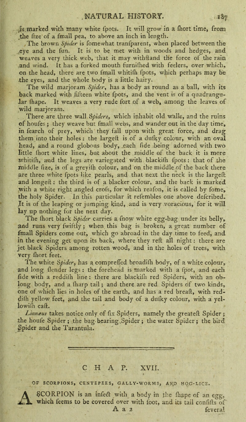 Js;marked with many white Ipots. It will grow in a fliort time, from the ffze'of a fmall pea, to above an inch in length. The brown Spider is fomewhat tranfparent, when placed between the -eye and the fun. It is to be met with in woods and hedges, and weaves a very thick web, that it may withftand the force of the rain ,and wind. It has a forked mouth furnilbed with feelers, over which, on the head, there are two fmall whitifh fpots, which perhaps may be ihe eyes, and the whole body is a little hairy. The wild marjoram Spider^ has a body as round as a ball, with its back marked with ^fifteen white fpots, and the vent is of a quadrangu- lar fhape. It weaves a very rude fort of a web, among the leaves of wild marjoram. There are three wall spiders., which inhabit old walk, and the ruins of houfes; they weave but fmall webs, and wander out in the day time, in fearch of prey, which they fall upon with great force, and drag them into their holes: the largeft is of a duilsy colour, with an oval head, and a round globoiis body, „each fide being adorned with two little fhort white lines, but about the middle of the back it is more whitilh, and the legs are variegated with blackifh fpots: that of the middle fize, is of a greyilb colour, and on the middle of the back there are three white fpots like pearls, and that next the neck is the largeft and longeft: the third is of a blacker colour, and the back is marked with a white right angled crofs, for which reafon, it is called by fome, the holy Spider. In this particular it refembles one above deferibed. Jt is of the leaping or jumping kind, and is very voracious, for it will lay up nothing for the next day. The fliort black spider carries a fnow white egg-bag under its belly, and runs very fwiftly; when this bag is broken, a great number of fmall Spiders come out, which go abroad in the day time to feed, and in the evening get upon its back, where they reft all night: there are jet black Spiders among rotten wood, and in the holes of trees, with very fhort feet. The white spider, has a compreffed broadifli body, of a white cojour, and long flender legs: the forehead is marked with a fpot, and each fide with a reddifh line: there are blackifh red Spiders, with an ob- long body, and a, fliarp tail; and there are red Spiders of two kinds, one of which lies in holes of the earth, and has a red bread, with red- dilh yellow feet, and the tail and body of a dufky colour, with a yel- iowifli caft. Ltnnaus takes notice only of fix Spiders, namely the greateft Spider; the houfe Spider; the bag-bearing,Spider; the water Spider; the bird §pider and the Tarantula. CHAP. XVII. OF SCORPIONS, CENTEPEES, GALLY-WORMS, ANJ) HOG-LICE. SCORPION is an infedl with a body in the fhape of an egg, which feems to be covered over with foot, and its tail confifts of