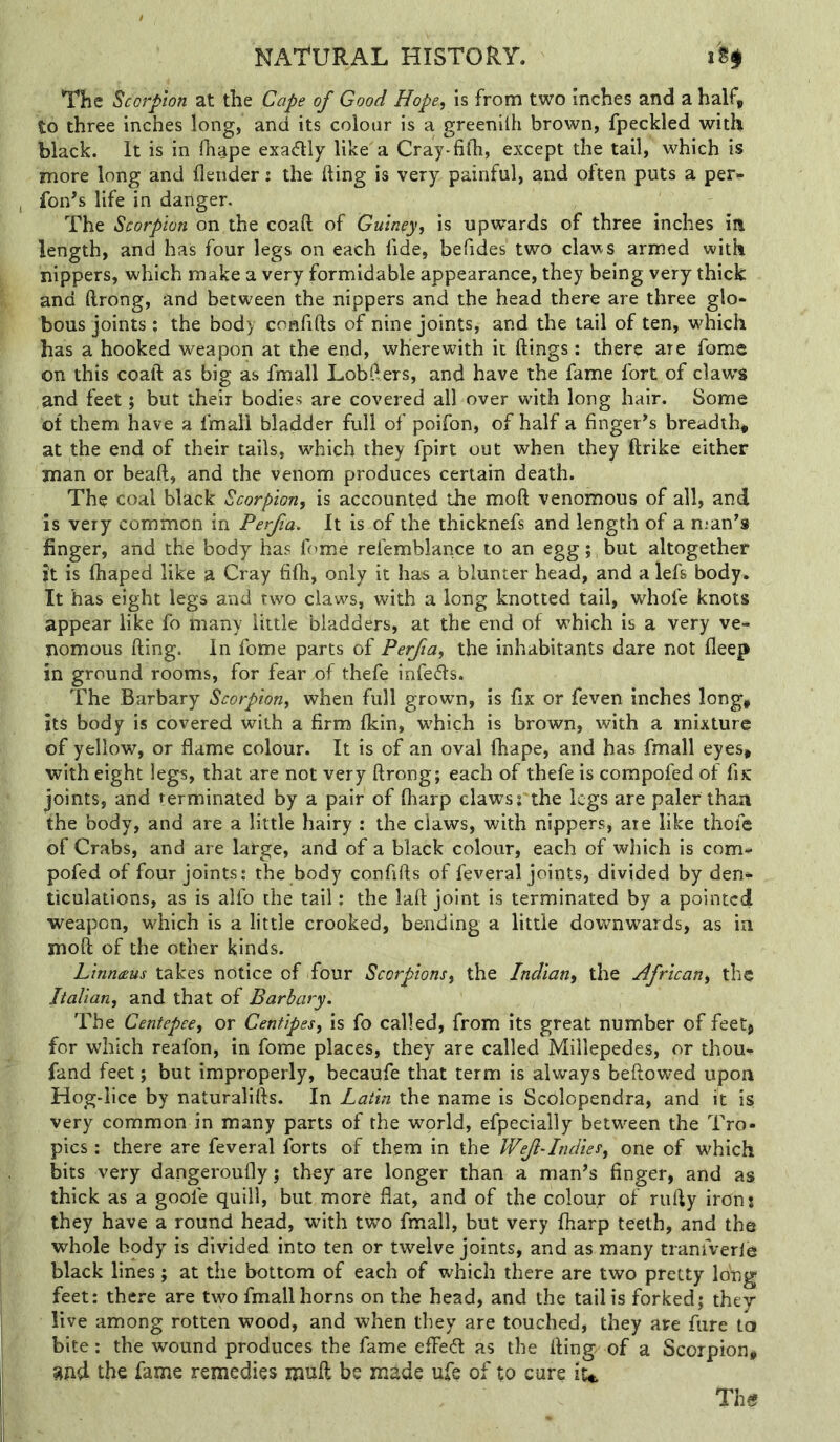 The Scorpion at the Cape of Good Hope, is from two inches and a half, to three inches long, and its colour is a greeniih brown, fpeckled with black. It is in fhape exactly like a Cray-fith, except the tail, which is more long and flender: the fting is very painful, and often puts a per<* fon’s life in danger. The Scorpion on the coaft of Guiney, is upwards of three inches in length, and has four legs on each fide, befides two claws armed with nippers, which make a very formidable appearance, they being very thick and ftrong, and between the nippers and the head there are three glo- bous joints ; the body confifts of nine joints, and the tail of ten, which has a hooked weapon at the end, wherewith it ftings: there are fome on this coaft as big as fmall Lobders, and have the fame fort of claws and feet; but their bodies are covered all over with long hair. Some of them have a fmall bladder full of poifon, of half a finger^s breadth, at the end of their tails, which they fpirt out when they ftrike either man or beaft, and the venom produces certain death. The coal black Scorpion, is accounted the moft venomous of all, and is very common in Perfia. It is of the thicknefs and length of a naan's finger, and the body has fome refemblance to an egg; but altogether it is fhaped like a Cray fifh, only it has a blunter head, and a lefs body. It has eight legs and two claws, with a long knotted tail, whofe knots appear like fo many little bladders, at the end of which is a very VC”^ pomous fting. In fome parts of Perfia, the inhabitants dare not fleep in ground rooms, for fear of thefe infedls. The Barbary Scorpion, when full grown, is fix or feven inches long, its body is covered with a firm fkin, which is brown, with a mixture of yellow, or flame colour. It is of an oval fhape, and has fmall eyes, with eight legs, that are not very ftrong; each of thefe is compofed of fix joints, and terminated by a pair of fliarp clawsj the legs are paler than the body, and are a little hairy : the claws, with nippers, are like thofe of Crabs, and are large, and of a black colour, each of which is com- pofed of four joints: the body confifts of feveral joints, divided by den- ticulations, as is alfo the tail: the laft joint is terminated by a pointed weapon, which is a little crooked, bending a little downwards, as in moft of the other kinds. Linneus takes notice of four Scorpions, the Indian, the African, the Italian, and that of Barhary. The Centepee, or Centipes, is fo called, from its great number of feet, for which reafon, in fome places, they are called Millepedes, or thou- fand feet; but improperly, becaufe that term is always beftowed upon Hog-lice by naturalifts. In Latin the name is Scolopendra, and it is very common in many parts of the world, efpecially between the Tro- pics : there are feveral forts of them in the Wef-Indies, one of which bits very dangeroufly; they are longer than a man’s finger, and as thick as a goofe quill, but more flat, and of the colour of rufty irons they have a round head, with two fmall, but very fharp teeth, and the whole body is divided into ten or twelve joints, and as many tranfverle black lines; at the bottom of each of which there are two pretty long feet: there are two fmall horns on the head, and the tail is forked; they live among rotten wood, and when they are touched, they are fare la bite: the wound produces the fame effed as the fting of a Scorpion^, and the fame remedies muft be made ufe of to cure iu Th«