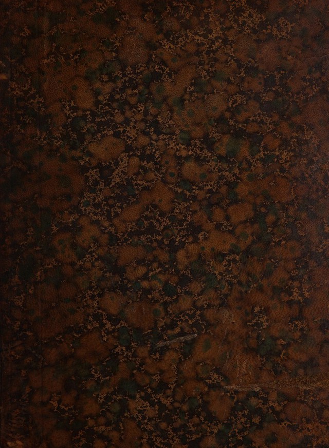 digitised image 1
