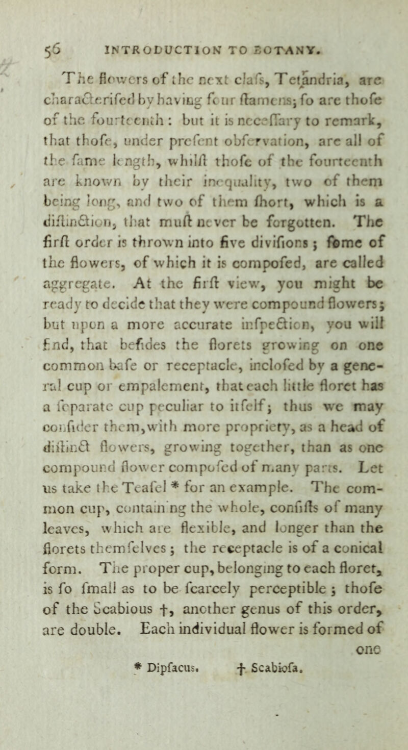 The flowers of the next clafs, Tctandria, arc eh a racleri fed by having four flame ns; fo are thofe of the fourteenth : but it is ncceftary to remark, that thofe, under prefent obfervation, arc all of the fame length, whilft thofe of the fourteenth are known by their inequality, two of them being long, and two of them fhort, which is a diftinSion, that muft never be forgotten. The firft order is thrown into five divifiors; fome of the flowers, of which it is compofed, are called aggregate. At the firft view', you might be ready to decide that they were compound flowers; but upon a more accurate infpe&icn, you will find, that befiaes the florets growing on one common bafe or receptacle, inclofed by a gene- ral cup or empalemenr, that each little floret has a fcpaiate cup peculiar to itfelf; thus we may confider them,with more propriety, as a head of diftinft flowers, growing together, than as one compound flower compofed of n.anv parts. Let us take the Teafel * for an example. The com- mon cup, containing the whole, confifts of many leaves, which are flexible, and longer than the florets themfelves; the receptacle is of a conical form. Tne proper cup, belonging to each floret, is fo fmail as to be fcarcely perceptible ; thofe of the Scabious f, another genus of this order, are double. Each individual flower is formed of * Dipfacus. f Scabiofa. one