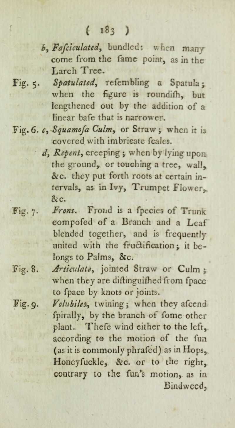 ( *83 ) b, Fafclculatedy bundled: when man/ come from the fame point, as in the Larch Tree. Fig. 5. Spatulated, refembling a Spatula; when the figure is roundifh, but lengthened out by the addition of a linear bafe that is narrower. Fig. 6. c, Squamofa Culm, or Straw; when it i3 covered with imbricate fcales. d, Repent, creeping ; when by lying upon the ground,, or touching a tree, wall, &c. they put forth roots at certain in- tervals, as in Ivy, Trumpet Flower,, &c. Fig. 7. Front. Frond is a fpccies of Trunk eompofed of a Branch and a Leaf blended together, and is frequently united with the frufifcification; it be- longs to Palms, &c. Fig. 8. Articulate, jointed Straw or Culm ; when they are diftinguifhed from fpace to fpace by knots or joints. Fig.9. Volubilet, twining; when they afcend fpirally, by the branch of fome other plant.. Thefe wind either to the left, according to the motion of the fun (as it is commonly phrafed) as in Hops, Honeyfuckle, &c. or to the right, contrary to the fun's motion, as in Bindweed,