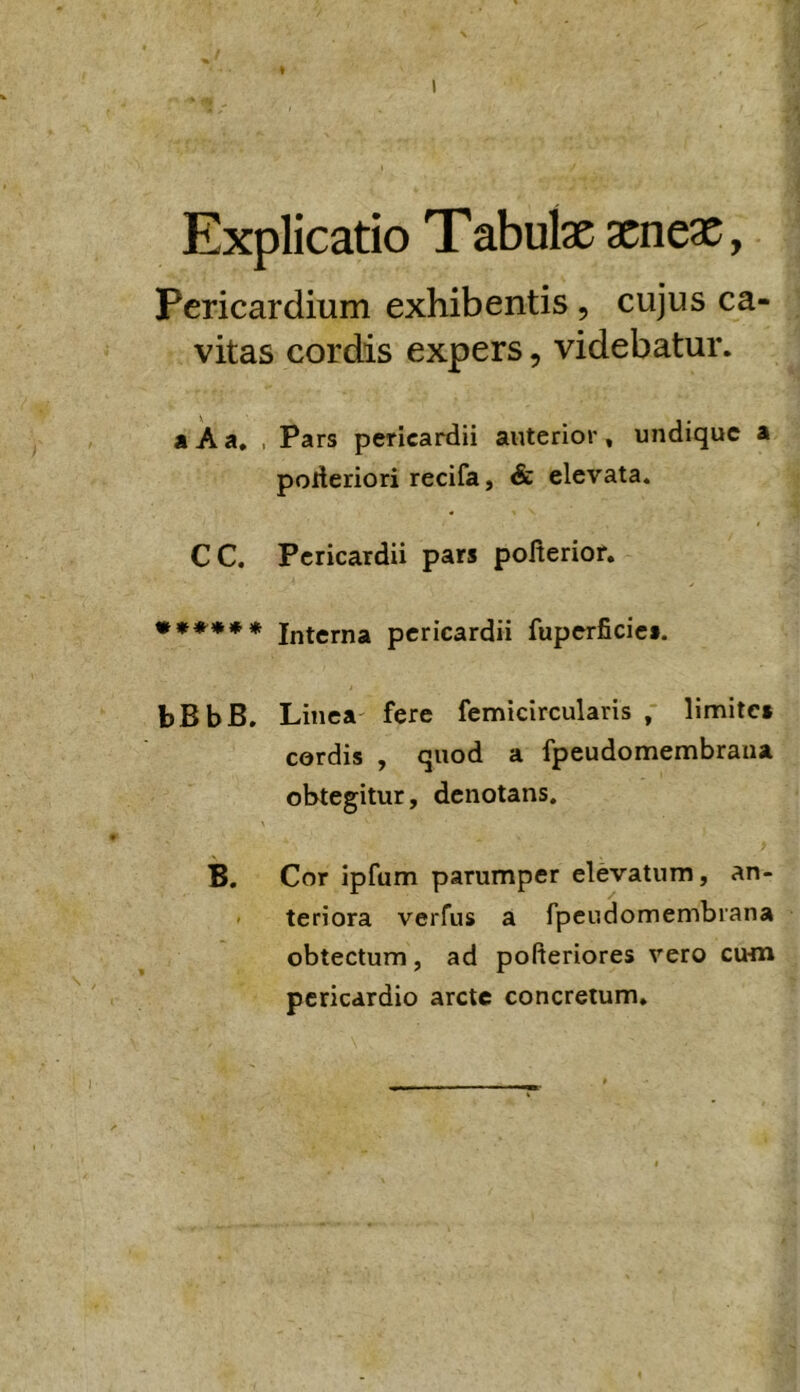 Explicatio T abute aeneae, Pericardium exhibentis, cujus ca- vitas cordis expers, videbatur. a A a, , Pars pericardii anterior, undique a poderiori recifa, & elevata. CC. Pericardii pars polterior. ****** Jnterna pericardii fuperficie». bBbB. Linea fere fcmicircularis , limites cordis , quod a fpeudomembraiia obtegitur, denotans. B. Cor ipfum parumper elevatum, an- ' teriora verfus a fpeudomembrana obtectum, ad pofteriores vero cum pericardio arcte concretum.
