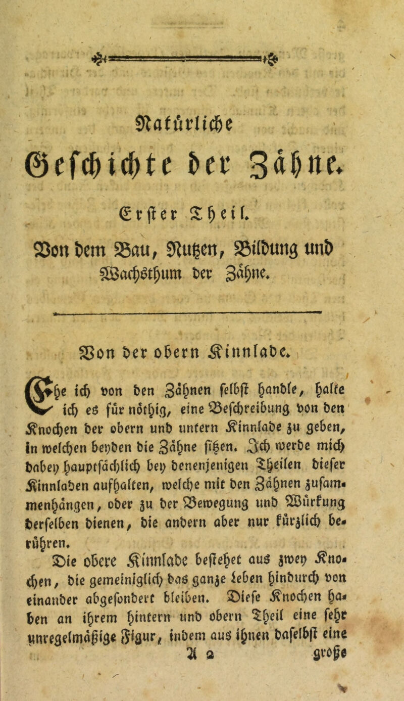 9lA(ütitclje ©efcfMdjte er 3dF>ne* erflcr SfjetL 23ont>em 25ati, SRugen, SMlfctmg unt> £8ach&ljum ber SSon t>er Obern Sinnlabe. idj bon ben Sitten felbjl fjanMe, hfllfc id) eß für tiöfgto/ eine SÖefdjreibung Don bett «ftnodjen bet obern unb unfern .ftinnlabe 511 geben, in welchen bepben bie 3dljne fifen. 3d) werbe midj babei; hauptf<!id)it$ bei; benenjenigen feilen biefec Sinnlaben aufhalfen, weldje mit ben 3<*hnen aufam' menfjangen, ober ju ber Bewegung unb Söiirfung berfelben bienen, bie onbern aber nur für$lid> be- rühren. £>ie obere Sinnlabe befielet auß $tt>et> Sno- d;en, bie gemeiniglid; baß ganje leben fjinburdj von einanöer abgefonbert bleiben. SDiefe Snodjen ha- ben an ihrem f>intern unb Obern $hcil e*ne fe§c unregelmäßige gigur, tnbem auß ihnen bafelbfl eine 21 a große
