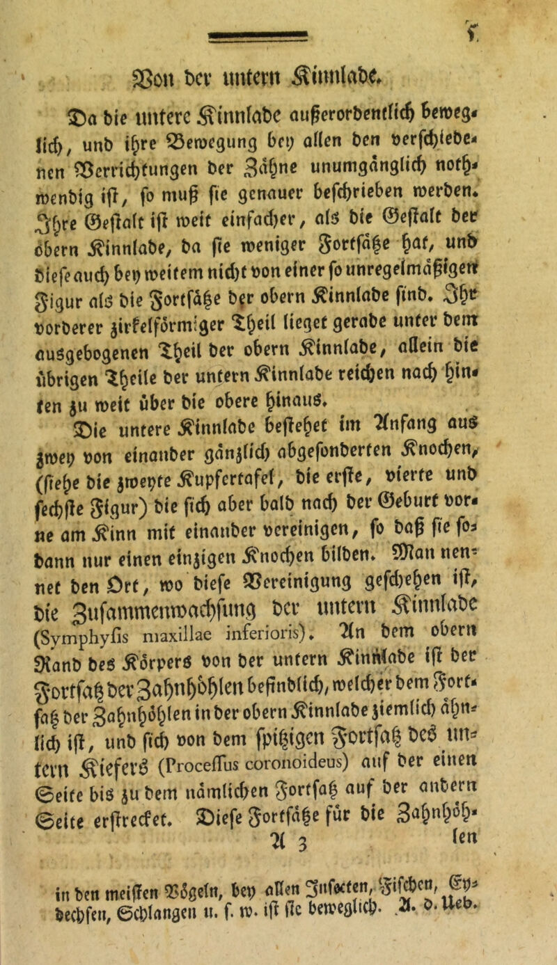 SSott t>cv untern $mn(at& $)a bie untere Äinnfobe außerorbentlid) beweg* lief), unb if)re Bewegung bei; allen ben berfdßebe* nen Bcrridßungen ber 3«6nc unumgänglich not£* roenbig iß, fo muß fic genauer betrieben werben* 3;f;re ©eßalt iß roeit einfacher, als bie ©eßalt ber öbern tfinnlabe, ba fte weniger gortfdfe fcat, mb Biefeaud) bei; weitem nid)f bon einer fo unregelmäßigen gigur als bie gortfä|e b?r obern Äinnlabe ftnb. 3fje »orberer jirfelformiger t&eil lieget gerabe unter bem ausgebogenen ^eil ber obern .^innlabc, allein bie übrigen ^eile ber untern ^innlabe reichen naef) fjin* ten ju weit über bie obere fjtnauö. £>jc untere ^tnnlabe beßefjet im Anfang aus jwei) bon etnanber gänßid) abgefonberfen $nod)en,r (ßef)e bie $roepfe.£upfcrfafel, btc erfte, bierte unb fechße gigur) t)ie fid) aber halb nach ber ©eburf bor* ne am ^inn mit einanber bereinigen, fo baß fie fo* bann nur einen einzigen ^nod;en bilben» 5Kait nen? net benDrt, wo biefe Bereinigung gefd)e^en iß, bte 3ufammenn>ad)fung ber untern Äinnlabe (Symphyfis maxillae inferioris). lin bem ober« SXanb be$ Körpers bon ber unfern ^innlabe iß ber gortfa^ ber Sa^n^len beßnblid)y weld)er bem gort- fa| ber 3a^nf;ol;len in ber obern jtinnlabe ßemlid) af;tu lieb iß, unb fid) bon bem fpifßgcn $ortfa| bc$ M< tevn Äteferi (Proceflus coronoideus) auf ber einen 0eife bis ju bem nämlichen gortfaf} auf ber anfcern 0eite erßrecfet. SDiefe gortfäf e für bie 3a&nW* H 3 kn in ben weißen ESgefn, bep aßen 3nfictcn, $ifd>cn, becbfen, ©erlangen «. f w. iß ße beweglich. ». o.Ueb.