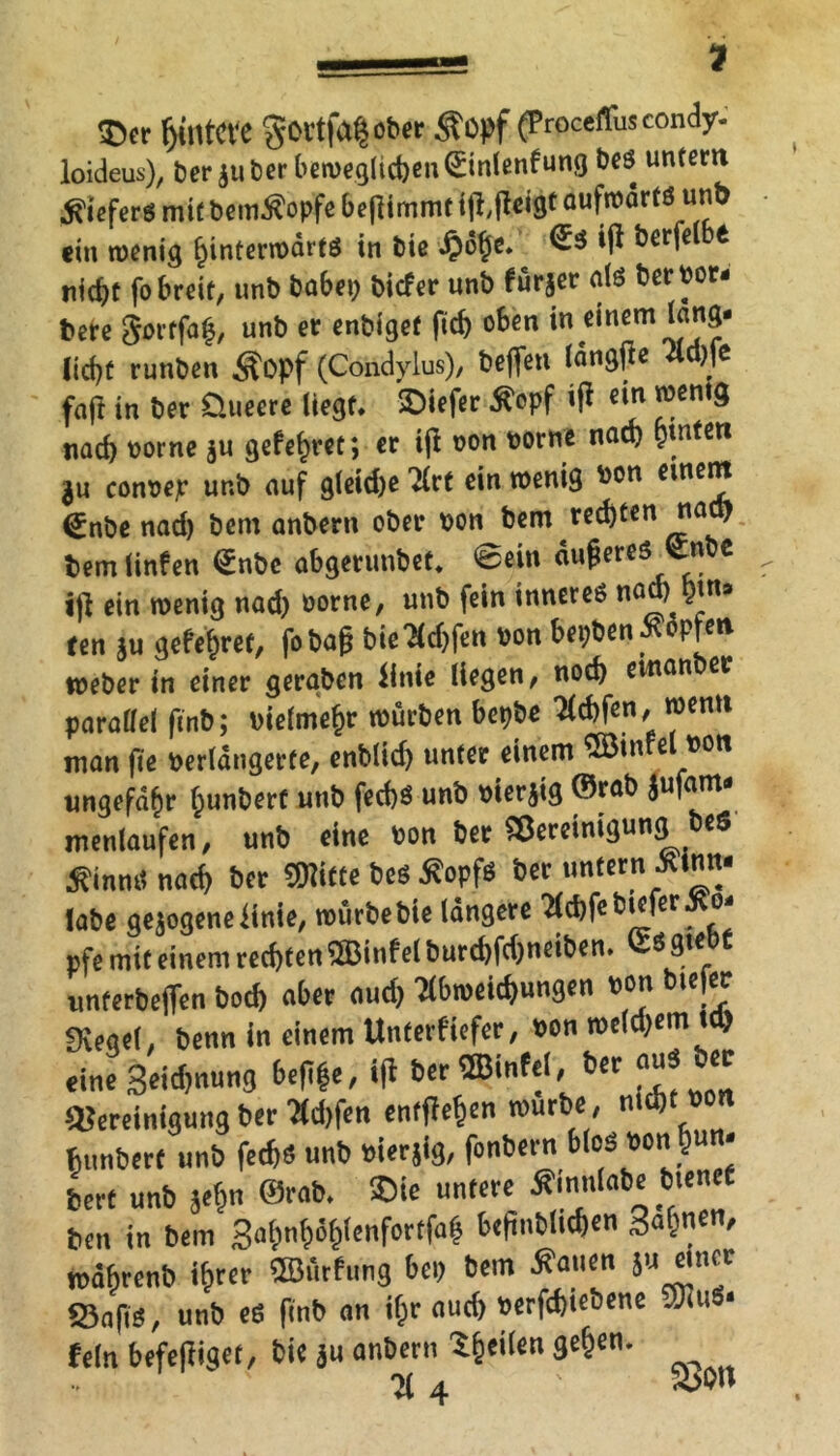 ^er Ijmtcve ober S'opf (Procefliiscondy- loideus), ber su ber beweglichen 0nlenkung beö untern Kiefers mit bem^opfe beßimmt ijißeigt aufwärts unb ein wenig hinterwärts in bie £ohe. »P berfelbe nicht fo breit, unb babep tiefer unb furjer als berPor- fcere gortfaf, unb er enbigef ficf> oben in einem lang- licht runben Äopf (Condylus), beffen iängfie Mc faft in ber Üueere liegt. £>iefer 5?opf ifi «to ^en,S nach porne $u gefefyret; er iß non porne nach fyntexi $u conpejr ur.b auf gleid)e 2lrt ein wenig ^on einem (£nbe nad) bem anbern ober pon bem redjten nad) bem linfen €nbe abgerunbet* <Bein äußeres <£nbe iß ein wenig nad) Porne, unb fein inneres nö * *!n* ren ju gefejret, fobaß bie^drfen Pon bepben Hopfen tneber in einer geraten ffnie liegen, noch etnan er parallel ftnb; Piefmef)r würben bepbe Wen, wenu man fie Perlängerte, entlief) unter einem Söinfet pon ungefähr ^untere unb fed)S unb Pierßg ©rab Sufam- menlaufen, unb eine Pon ber Bereinigung be$ tfinmt nach ber SMtte beö ^opfö ber untern ^tnn- labe gesogene finte, würbebie längere 2(d)febiefer^o- pfe mit einem rechten 5Binfelburd)fd)neiben. ö Ste t unferbeßen bod) aber aud) 7lbweicf)ungen pon ie|ec Siegel, benn in einem Unterkiefer, pon we(d)em td) '■J&iMm Mt«, ift KW*«' 6et flU*1Z Bereinigung ber 7(d,fen entfielen würbe, nicht wn hunberf unb fect)<5 unb »ierjig, fonbern MoSM§u ' berf unb jefcn ©rab. ©ie untere tfinniabe bienef ben in bem Sa&nfjö&ienfottfaf be(tnblicf)en Sa^en, wäbrenb ifirer ©ürfung bei) bem dfauen ju einer 23a|is, unb es fi'nb nn if)r auch »erfd)i«bene SiuS* fein befejliget, bie ju anbern feilen ge^en. •Ji 4 ' S5W