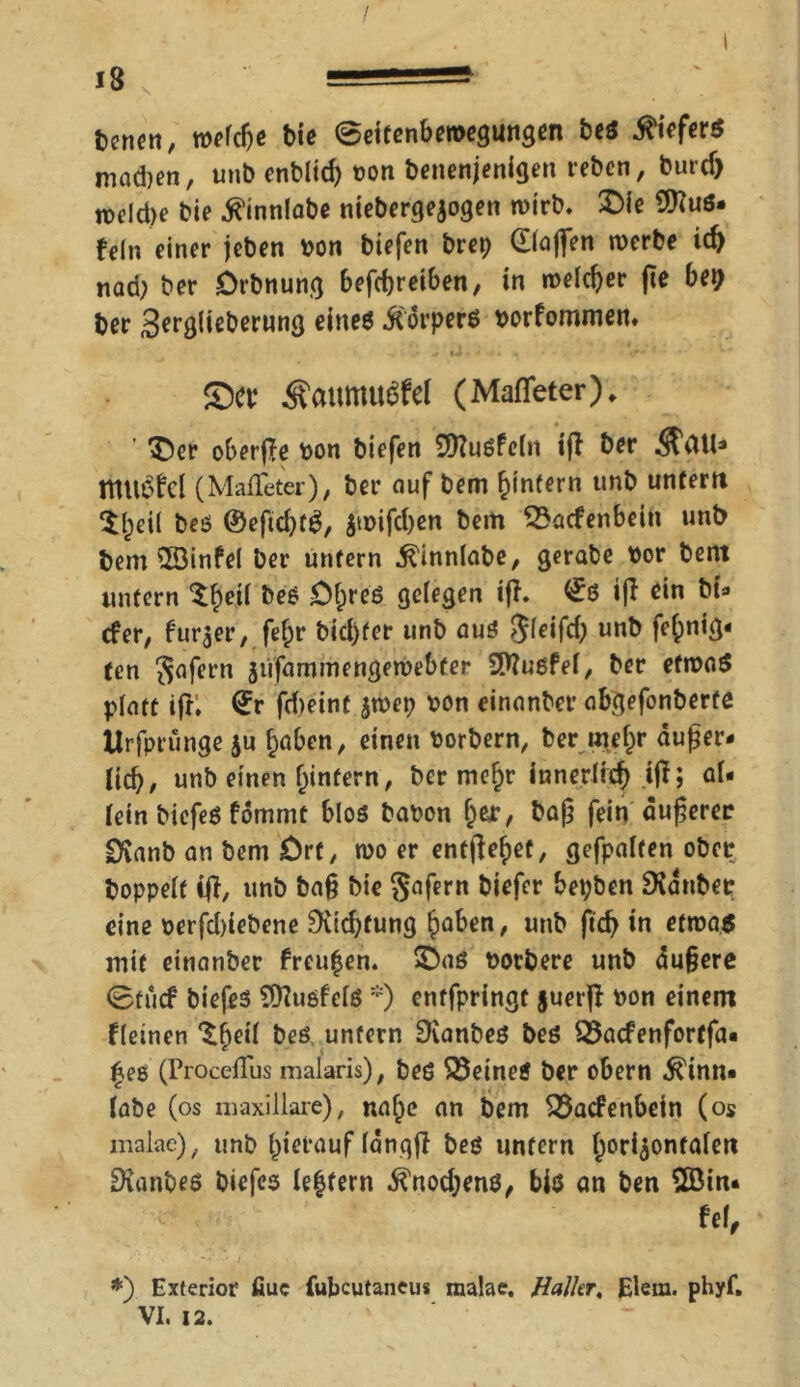 Denen, welcfje biß ©eifenbemegungen beß .tiefer* madjen, unb enblid) bon benenjenigen reben, burd) n>eid)e bie tinnlabe niebergejogen wirb. Die fein einer jeben bon biefen brep (Haften werbe id) nad) ber Drbnung betreiben, in welcher jie bei) Der Serglieberung eine* torperß borfommen. - . - ^ M • 1 - t 4 •/* • • V £)CP Äattmu^fel (Mafieter)* ’ ©er oberfte bon biefen SKußfcln iff ber mtlöfd (Maffeter), ber auf bem f)intern unb unfern $l)eil beß ©eftdjf*, $wifd)en bem Wadenbein unb bem SSMnfel ber unfern tinnlabe, gerabe bor bent unfern $f)etl beß £)f;reß gelegen ifh (iß ift ein bt* efer, furjer, fefr bici)fer unb au* $leifd) unb fef;nig- fen $afern sufammengewebter SWußfel, ber etwa* platt ifr; <£r fdieint jwep bon einanber abgefonberfe ilrfprünge $u f)aben, einen borbern, ber rneljr dufter- lid), unb einen ^intern, ber mef)r innerlid) iff; al- lein biefeß fdmmt bloß haben f;ejr, baft fein dufterec EXanb an bem Orf, wo er entließet, gefpalten obet Doppelt itf, unb ba§ bie §afern biefer bepben SKdnbec eine berfebtebene 3iid)fung £aben, unb ftd> in etwa* mit einanber freuten, ©aß borbere unb duftere ©fuef biefeß 9ttußfelß *) entfpringf juerff bon einem f(einen ^Ijeil beß unfern SKanbeß beß Q5acfenforffa« |eg (ProcefTus malaris), beß S3etneß ber obern tinn« labe (os m axillare) , naf;e an Dem 35acfenbetn (o$ malae), unb (jierauf Idnqft beß unfern Ijoriaontaleti fKanbeß biefeß le|fern .tnodjenß, biß an Den 2Bin- fei, *) Exterior fiuc fubcutaneus malae. Haller, Elem. phyf. VI. 12.
