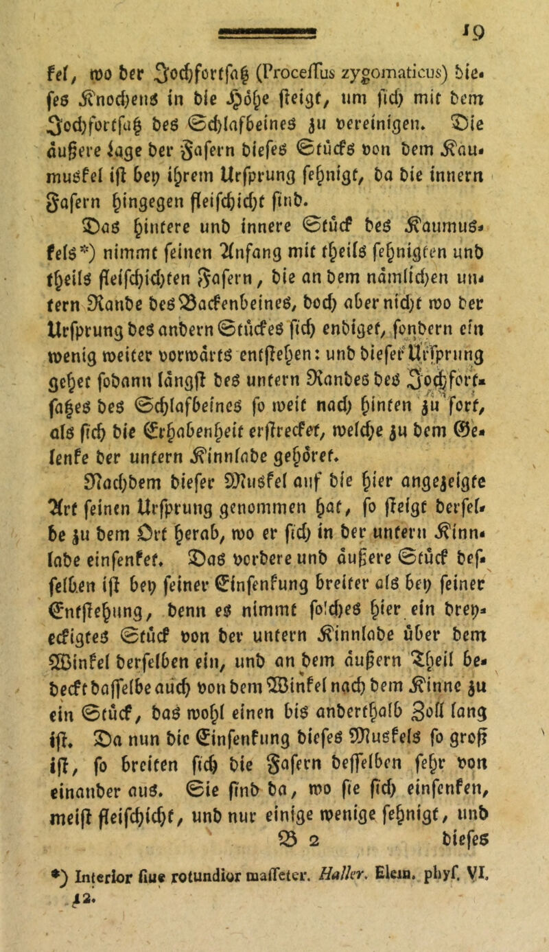 fei, wo ber 3od;forffah (ProceiTus zygomaticus) bic- feß .ffnod;enß in bie Jpöfje fteigf, um fiel) mit bem 3od;fortfuh beß ©d)lafbeineß 311 vereinigen. ^Die dufjere iqge bei* ‘{Jafern biefeß ©tücfß von bem $au« mußfei ifi bet) ihrem tlrfprung fehnigf, ba bie innern gafern hingegen fieifd)id;t ftnb. £)aß Hintere unb innere ©fücf beß .^aumuß* felß*) nimmt feinen Anfang mit tipeiiß fehnigten unb theilß fleifd;id;ten gafern, bie an bem ndmltd;en un- fern Glaube beß53acfenbeineß, bod; abernid;t tvo ber Urfprungbeßanbern©tücfeß fid; enbigef, fonbern ein wenig weiter vorwartß entfielen: unb bieferUrfprung gef;et fobann langfl beß unfern Dianbeßbeß Jfo&forf* fa|eß beß ©d;lafbeineß fo weif nad; &infen jVforif, alß fid; bie Erhabenheit erffreefef, weld;e $u bem ©e* (enfe ber unfern ^innfabe gehöret. 9>iad;bem biefer OJitißfel auf bie hier angejeigfe Kvt feinen Urfprung genommen fyat, fo jleigf berfel- be ju bem Orf herab, wo er fiel) in ber unfern $inn- labe einfenfef. $Daß verbere unb dufere ©tuef bef- feib.en ijl bet; feiner Einfenfung breiter afß bet; feiner Enfjlehung, benn eß nimmt fo!d)eß hier ein brep* ecfigfeß ©fücf von ber unfern ^innlabe über bem 2ßinfel berfelben ein, unb andern dufkrn becftbaffelbeaiid; von bem Sßinfel nach bem ^innc ju ein ©tuef, baß wohl einen biß anbcrfljalb lang iff. £)a nun bie Einfenfung biefeß Sföußfelß fo groß ift, fo 6rciten fid; bie gafern beffelben fefpr von einattber auß. ©ie ftnb ba, wo fte ftd; einfenfen, meift fleifd)id;f, unb nur einige wenige fehnigf, unb 53 2 biefeß *) Inferior fiue rotundior maflfeter. Haller. Elem. phyf, VI.