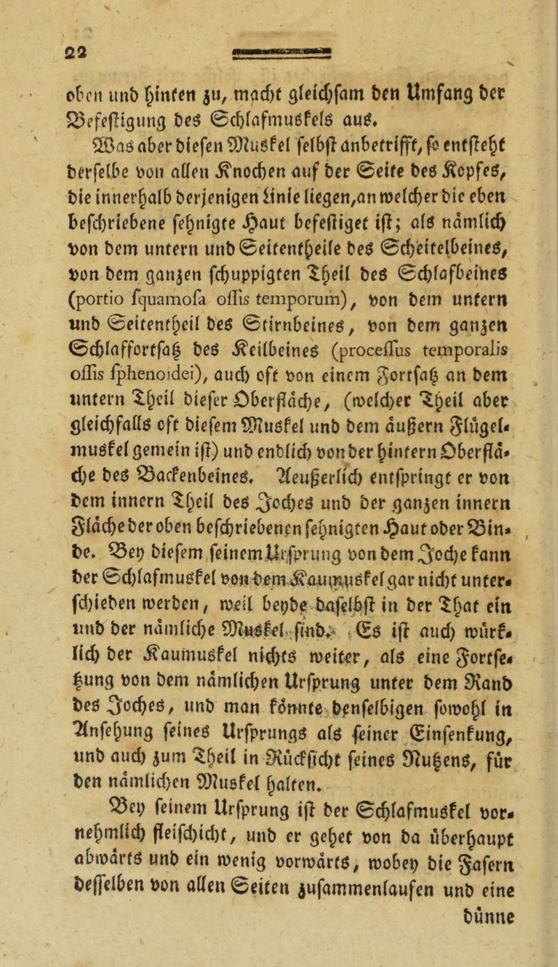 oben unt> (jinfen $u, mnd)t gleidjfam bcn Umfang ber S5efefligung beö ©cblafmuöfelö auö. 2Öaö aber biefen SQluöfel felb|Tanbetrifft, fo entfielt berfelbe von allen Knochen auf ber ©eite beö ßcpfeö, bie innerhalb berjenigen iinie liegen,an tveld)er bie eben befdjriebene fefjnigte Jjaut befefiiget iff; alö ndmlid) Von bem untern unb©eifenf£)eile beö ©dyeifelbeineö, von bem ganzen fcfjuppigten $f)eil beö ©d)lafbeine$ (portio fquamofa oflis temporum), von bem unfern unb ©eitenff;eil beö ©tirnbeineö, von bem ganzen ©djlaffortfaf beö ^cilbeineö (procefTus temporalis oflis fphenoidei), aud) oft von einem $ortfa£ an bem untern $f)cil biefer £)berfldd;e, (rveld)er ^l;eil aber gteicbfadö oft biefemSftuöfel unb bem äußern Slugel* muöfel gemein iff) unb enbiid) von ber ^intern Oberfld* d;e beö $3acfenbeineö. Tleußerlid) entfpringt er von bem inncrn lf;ei( beö «30d)eö unb ber ganzen innern §ldd)eberoben befdjriebencnfepnigtenJpaut ober£3in* be. SSep biefem feinem Urfprung vonbem^djefann ber ©dflafmuöfel vonbero ^aumpöfef gar nid)f unter* fd)ieben tverben, »veil bepbe bafelbfi in ber Sbaf ein tmbber nämliche Sftuöfel (mb,* {©ö ijd aud) tvürf* lid) ber ^aumuöfel nid)fö weiter, alö eine gortfe* f ung von bem ndmlid)en Urfprung unter bem SKanb beö3bd)eö, unb man fdnnte benfefbigen fotvoffl in 2(nfe()ung feineö Urfprungö alö feiner (Einfenfutig, unb aud) $um Sfjeil in iXücfftd)t feineö 9?u§enö, für ben ndmiidjen SDluefel Raiten» ^et; feinem Urfprung iff ber ©djlafmuöfel vor* tie^mlid) ffeifdjidjt, unb er gef)et von ba überhaupt abtvarfö unb ein wenig vorwdrfö, wobet) bie Sofern bef]elben von allen ©eiten jufammenlaufen unb eine bünne